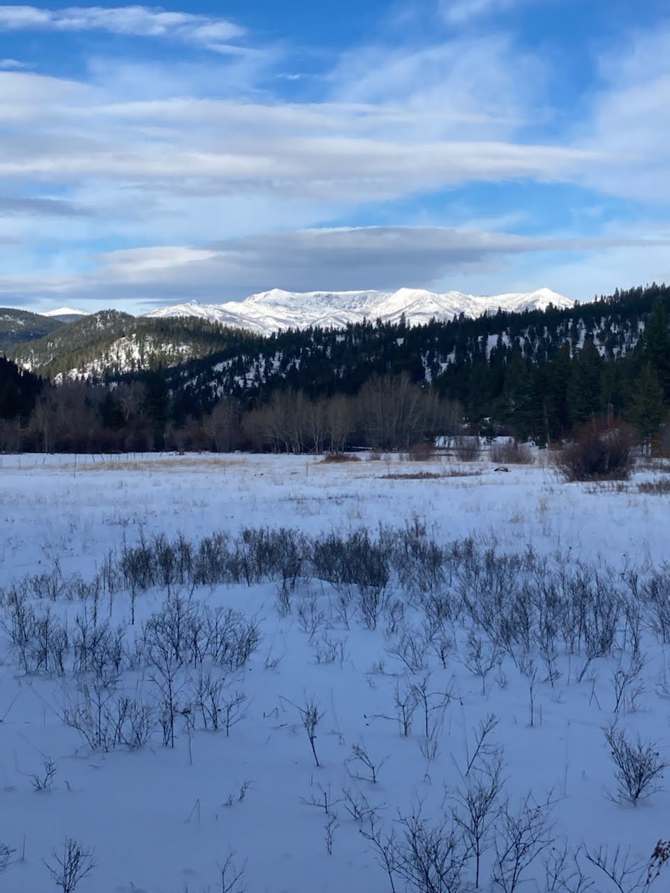 3595 Bear Gulch Road Property Photo 49