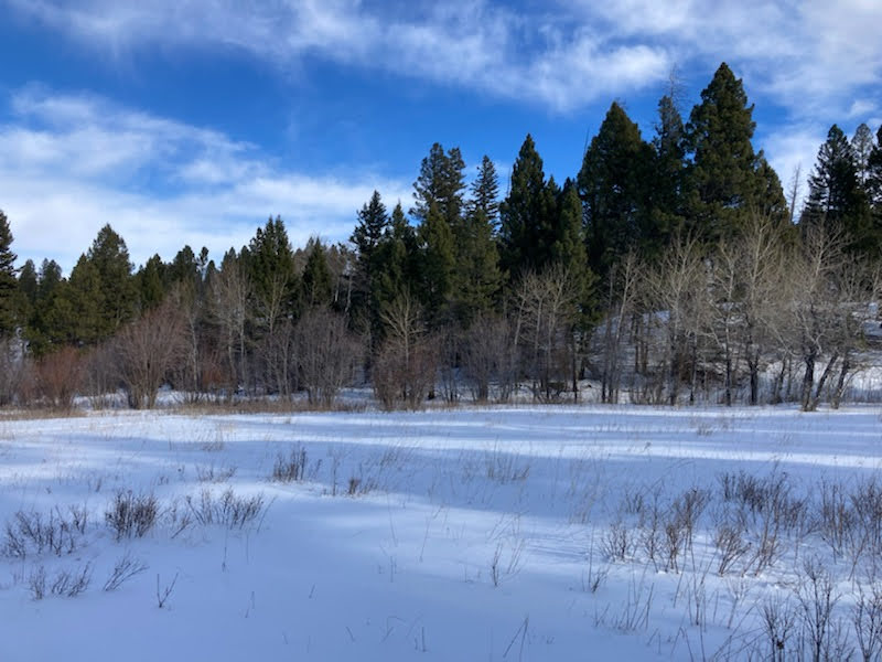 3595 Bear Gulch Road Property Photo 51