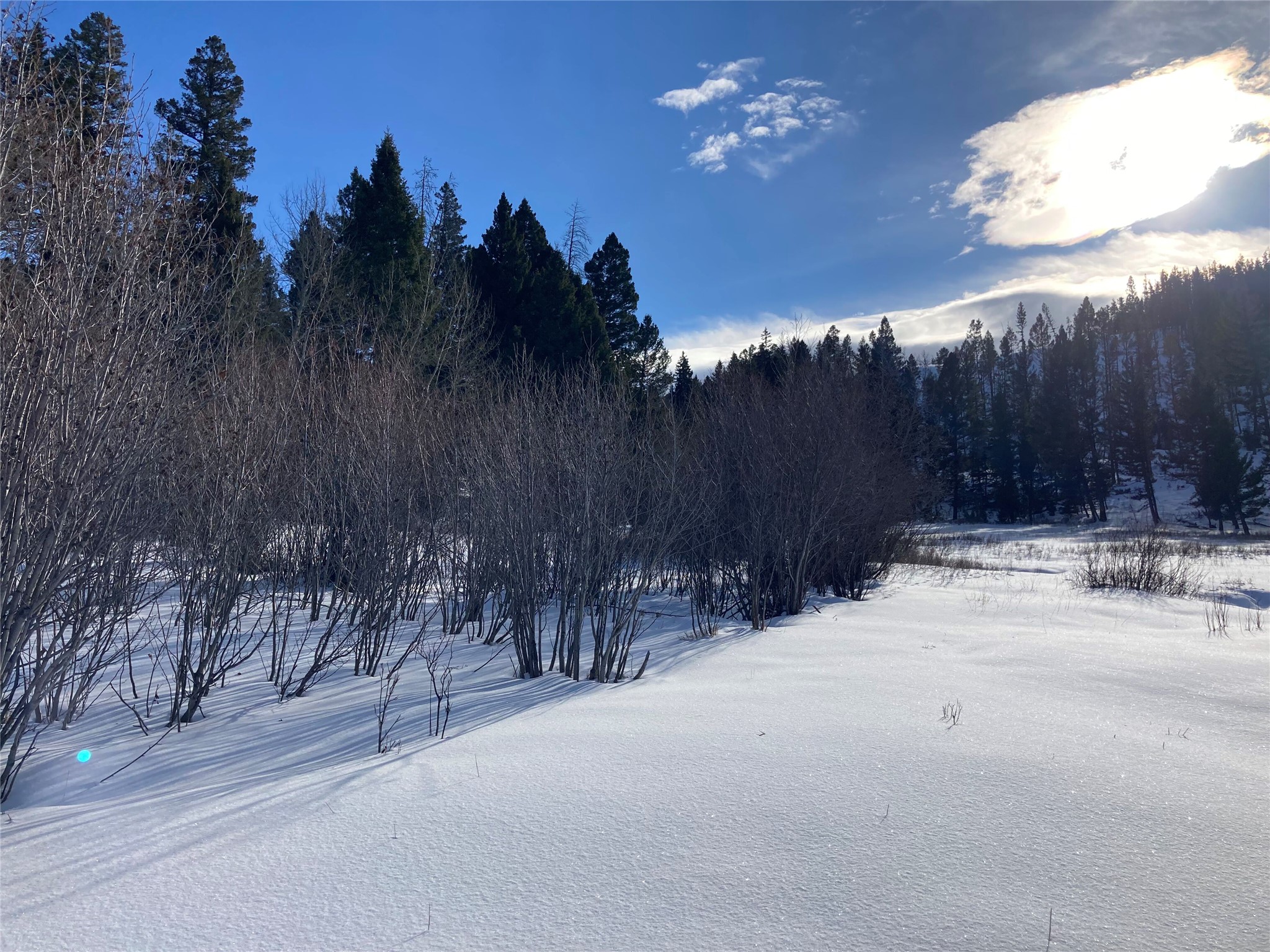 3595 Bear Gulch Road Property Photo 53