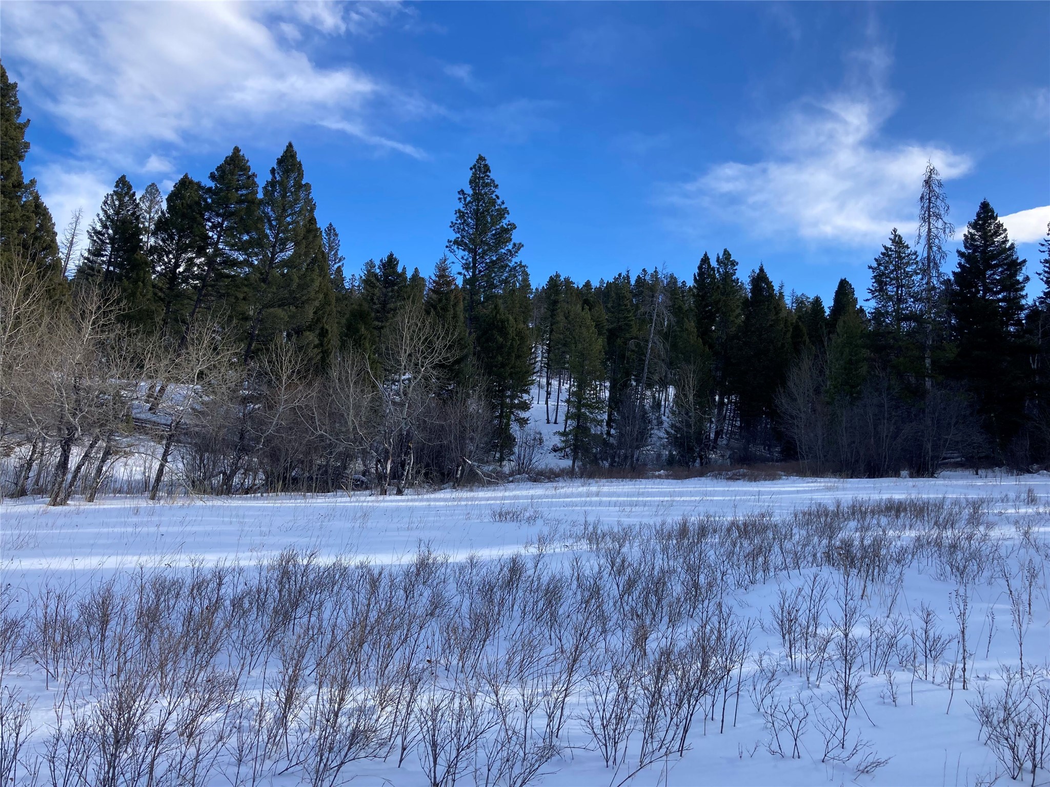 3595 Bear Gulch Road Property Photo 53