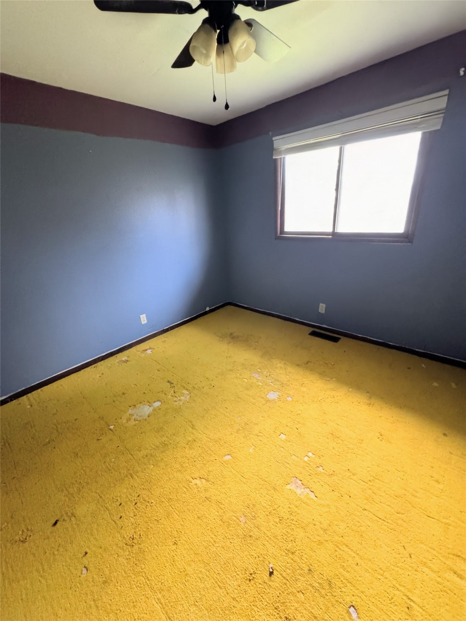 1813 Stag Lane Property Photo 14