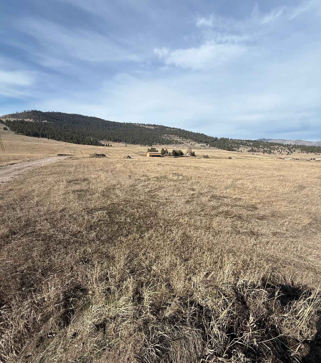 Nhn Walking Horse Lane Property Photo 1