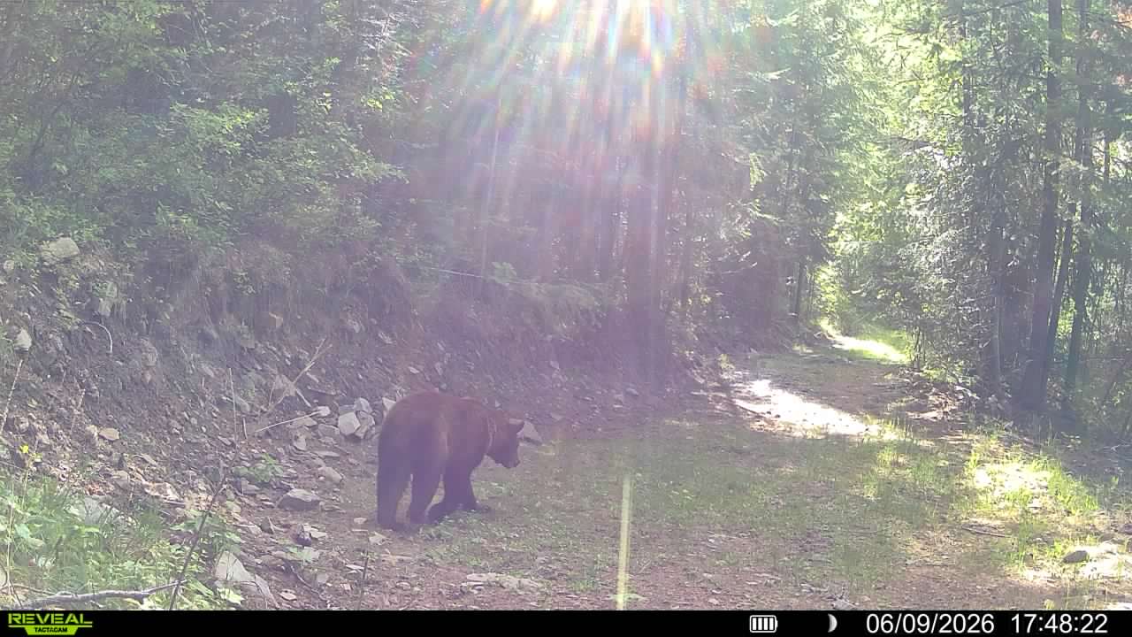 Nhn Bighorn Ranch Property Photo 7