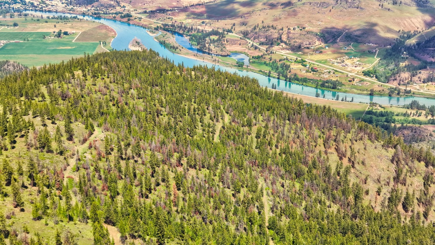 Nhn Bighorn Ranch Property Photo 10
