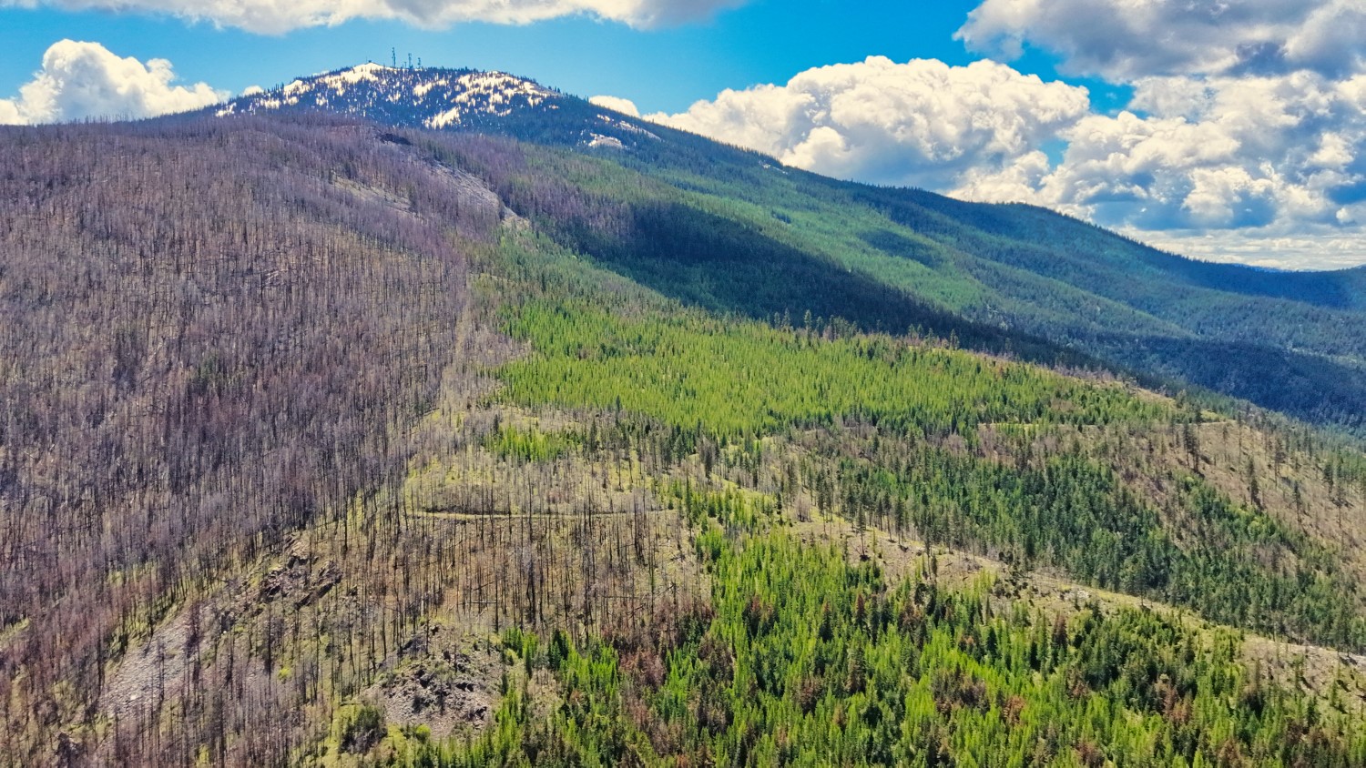 Nhn Bighorn Ranch Property Photo 15