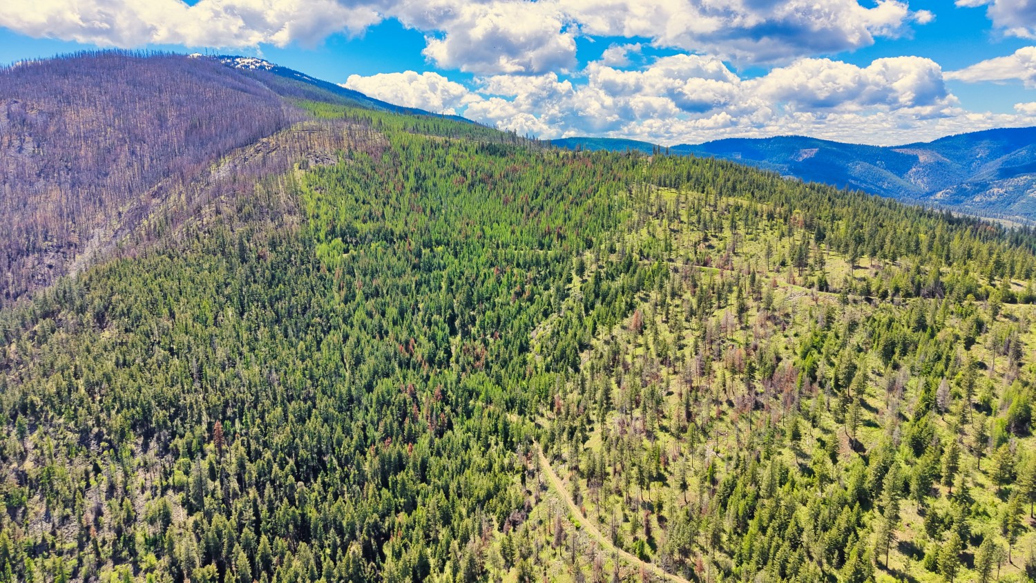 Nhn Bighorn Ranch Property Photo 16