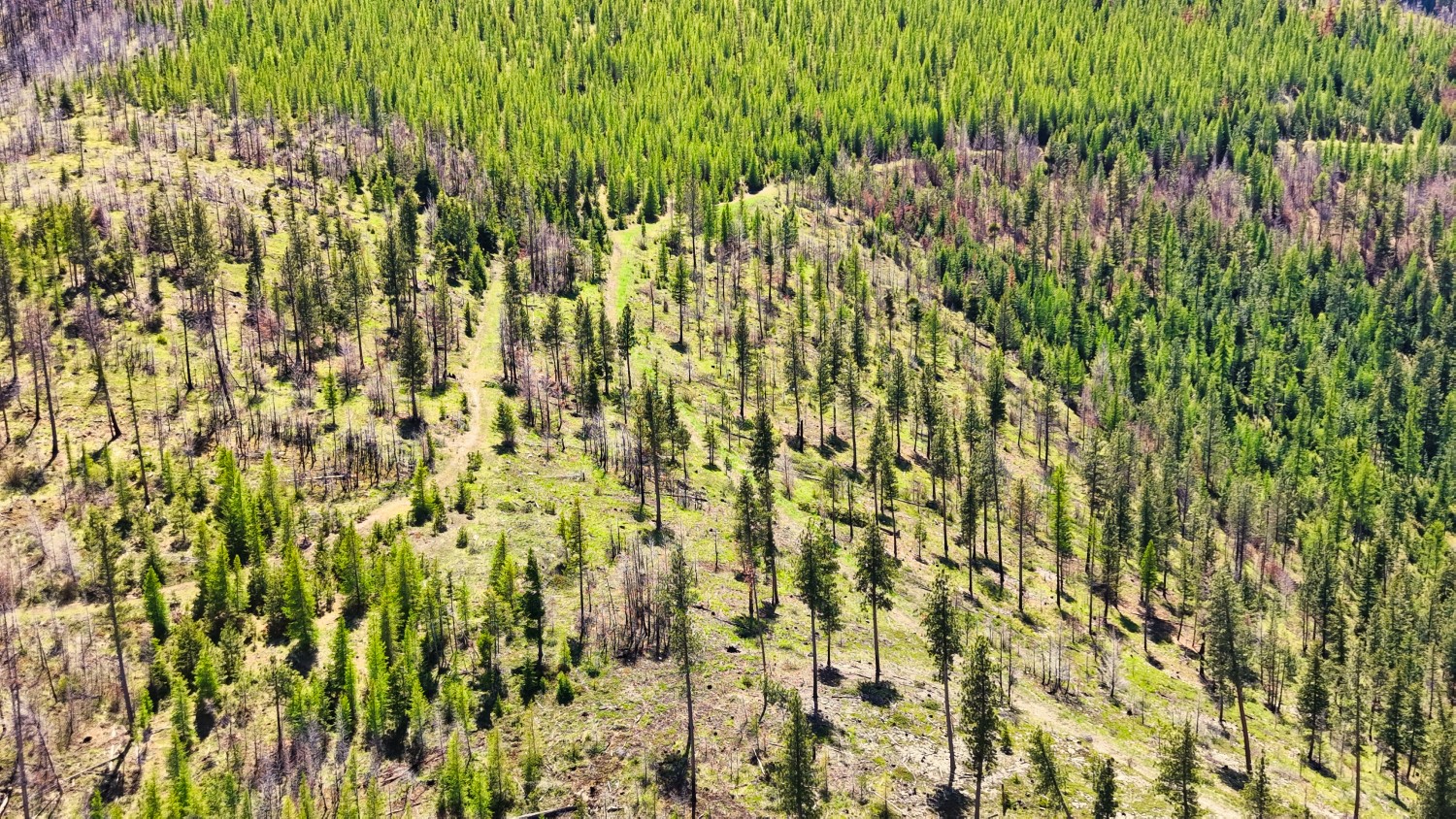 Nhn Bighorn Ranch Property Photo 18