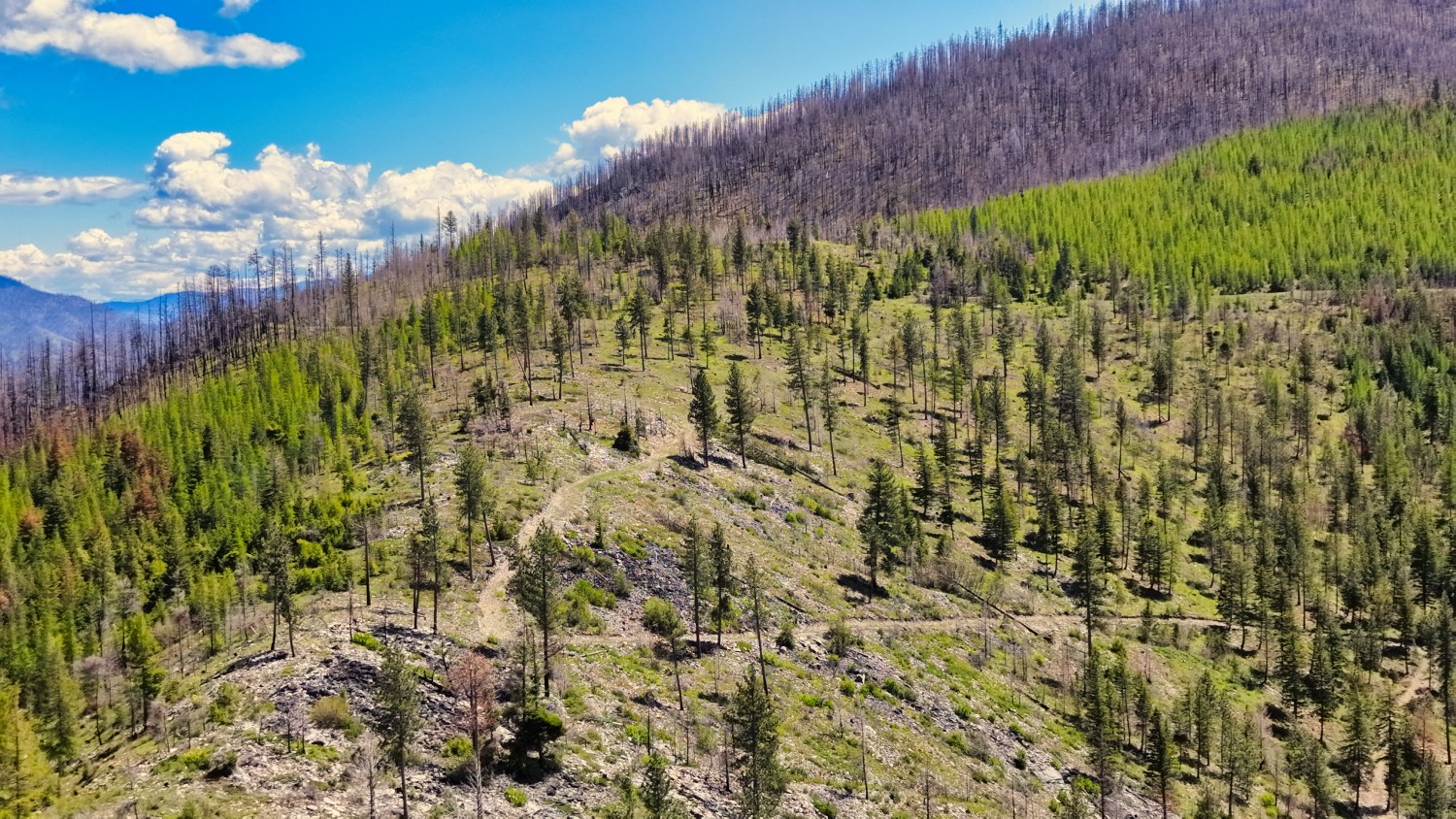 Nhn Bighorn Ranch Property Photo 19