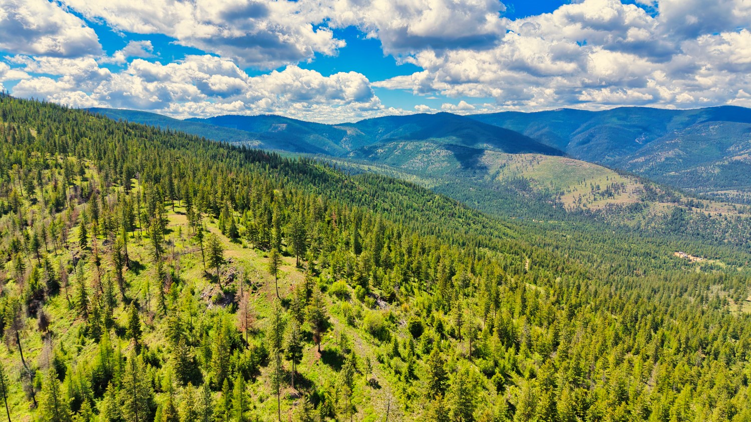 Nhn Bighorn Ranch Property Photo 23