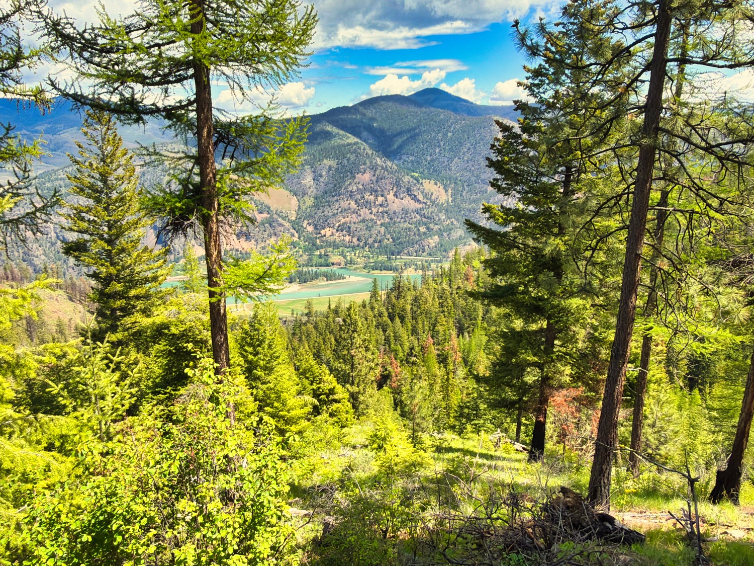 Nhn Bighorn Ranch Property Photo 31