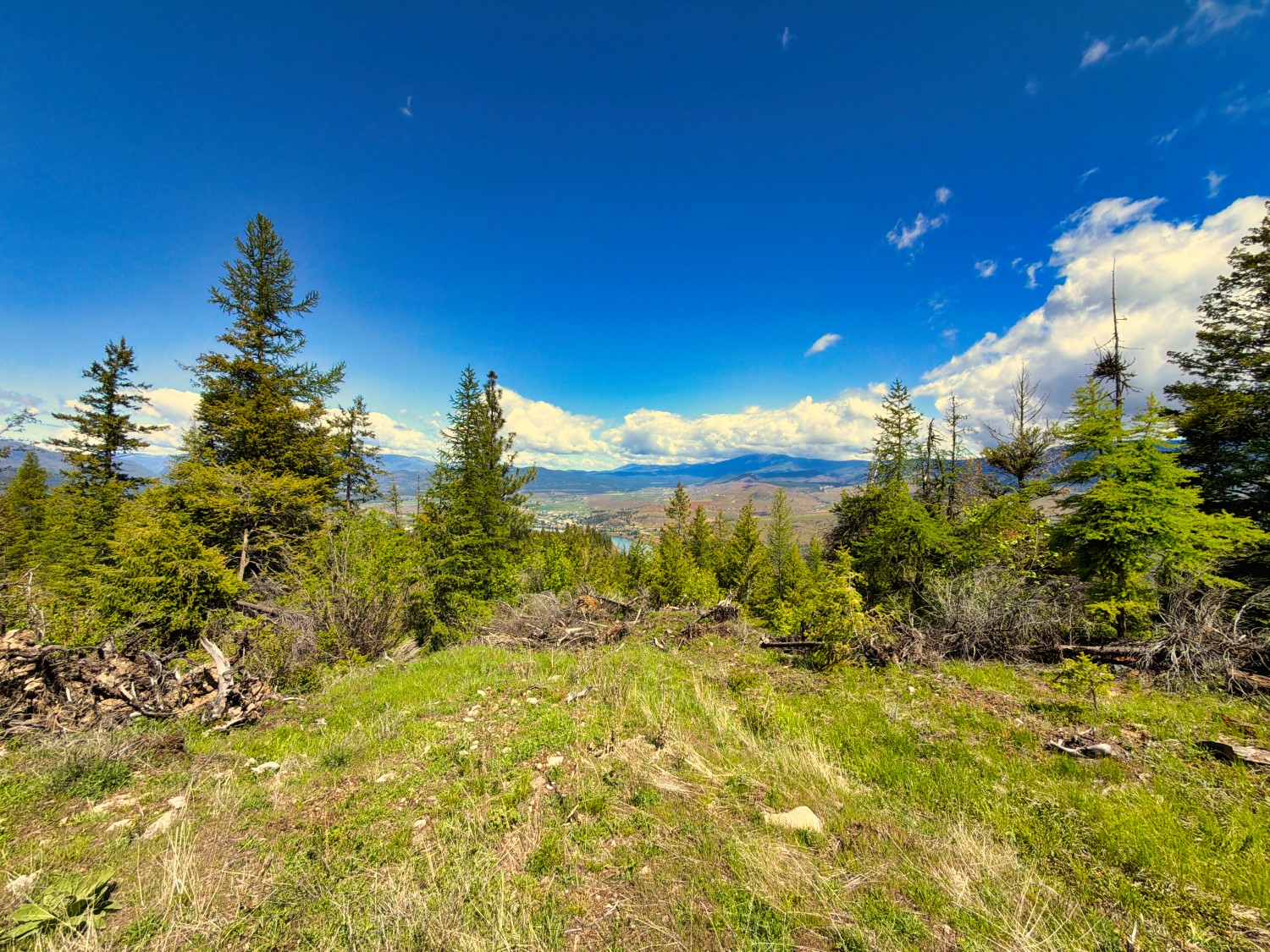 Nhn Bighorn Ranch Property Photo 33