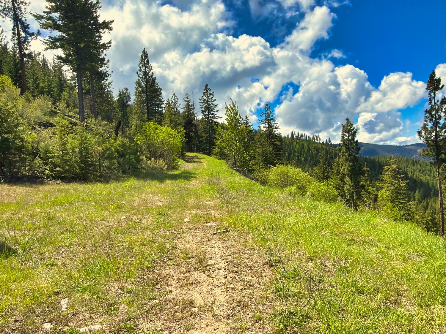 Nhn Bighorn Ranch Property Photo 35