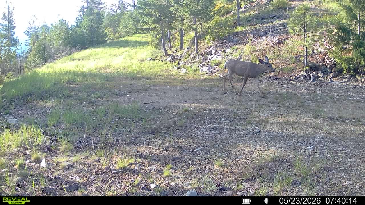 Nhn Bighorn Ranch Property Photo 40