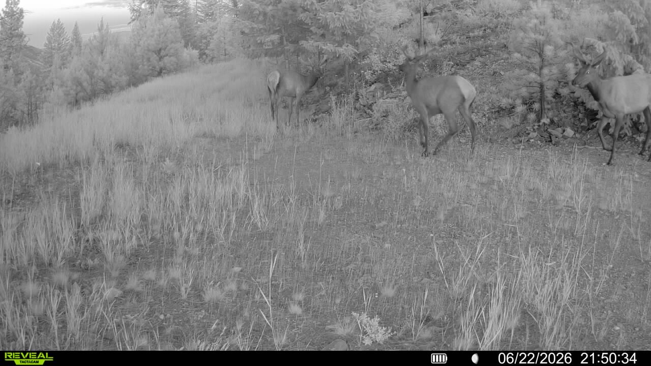Nhn Bighorn Ranch Property Photo 48