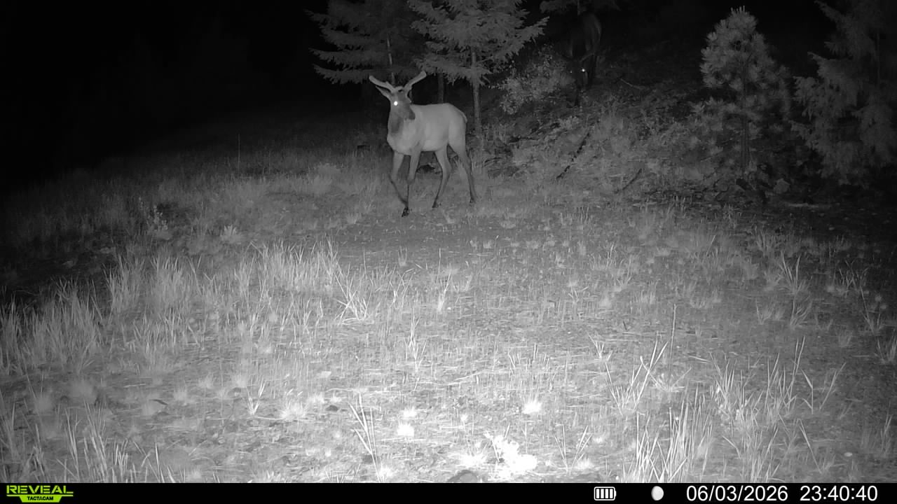 Nhn Bighorn Ranch Property Photo 49