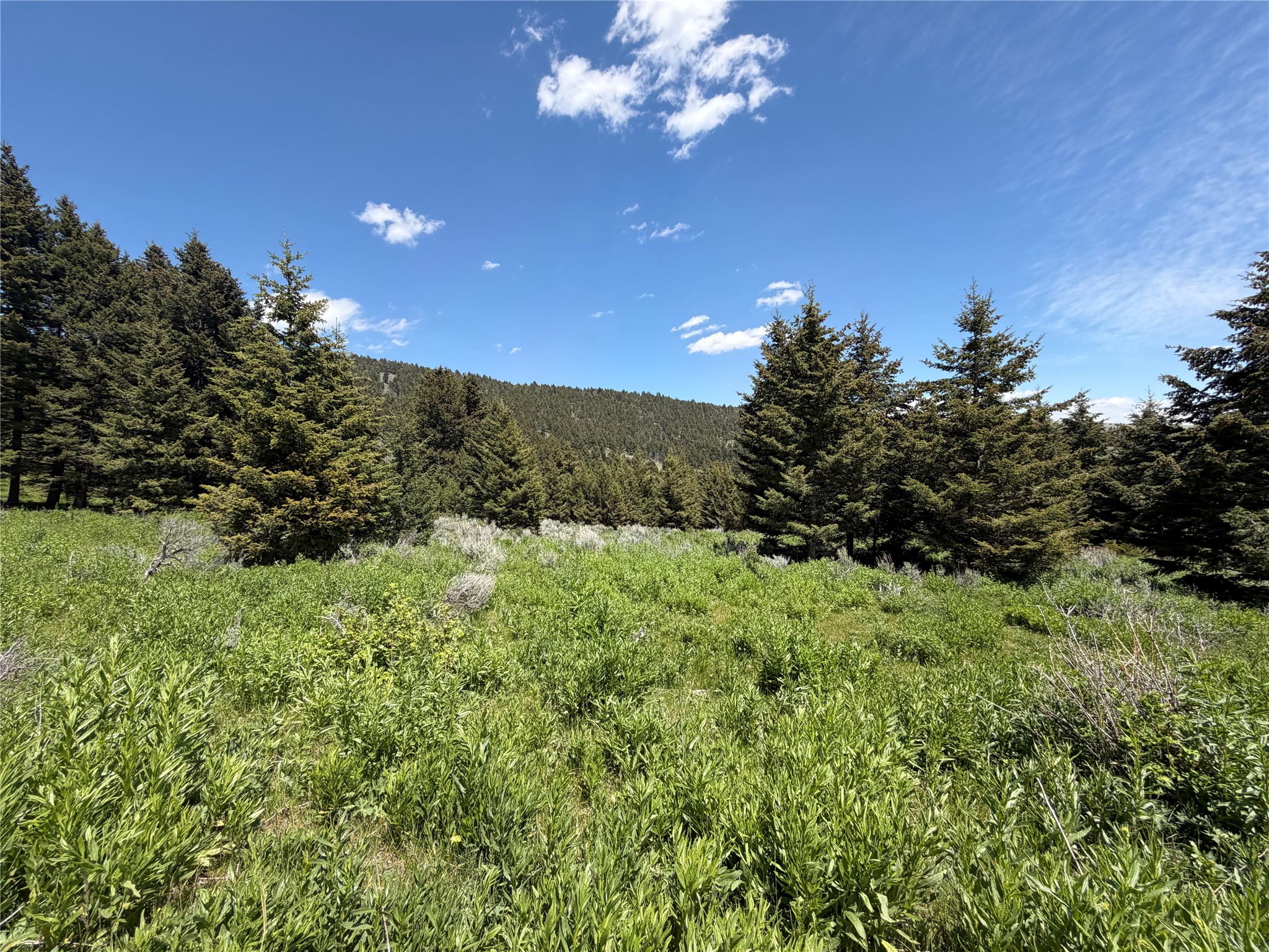 Nhn Castle Town Property Photo 1