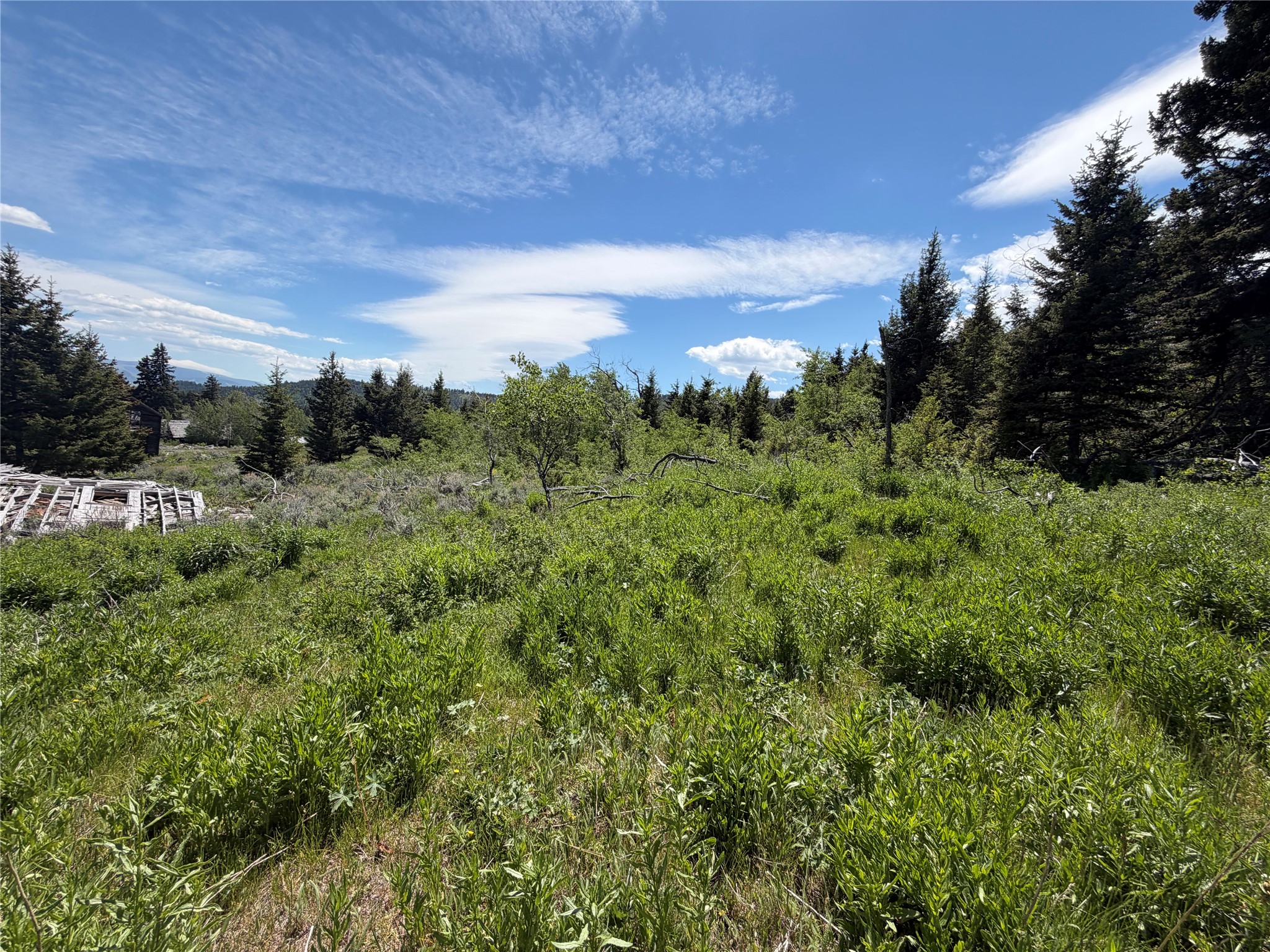 Nhn Castle Town Property Photo 3