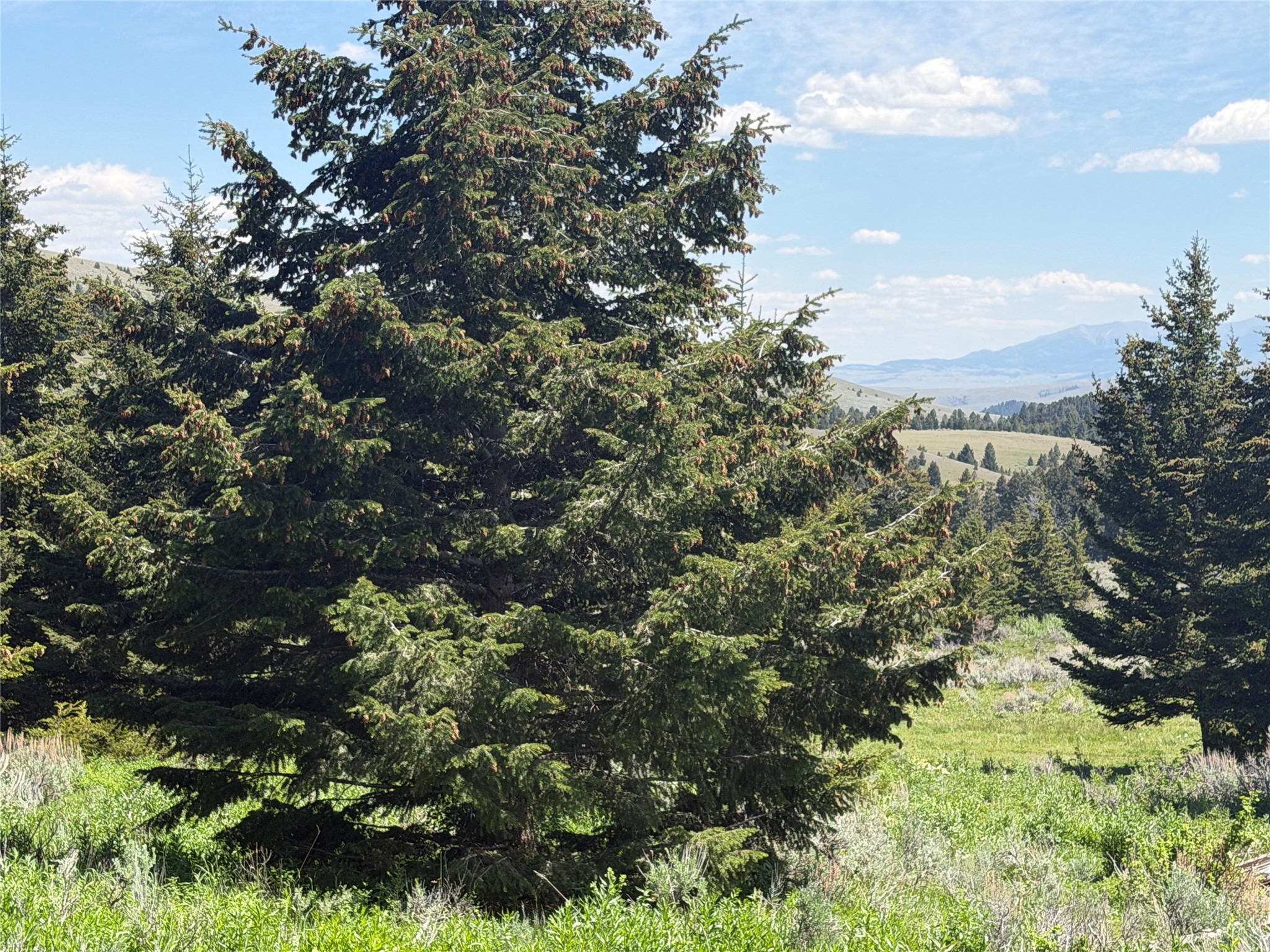 Nhn Castle Town Property Photo 4