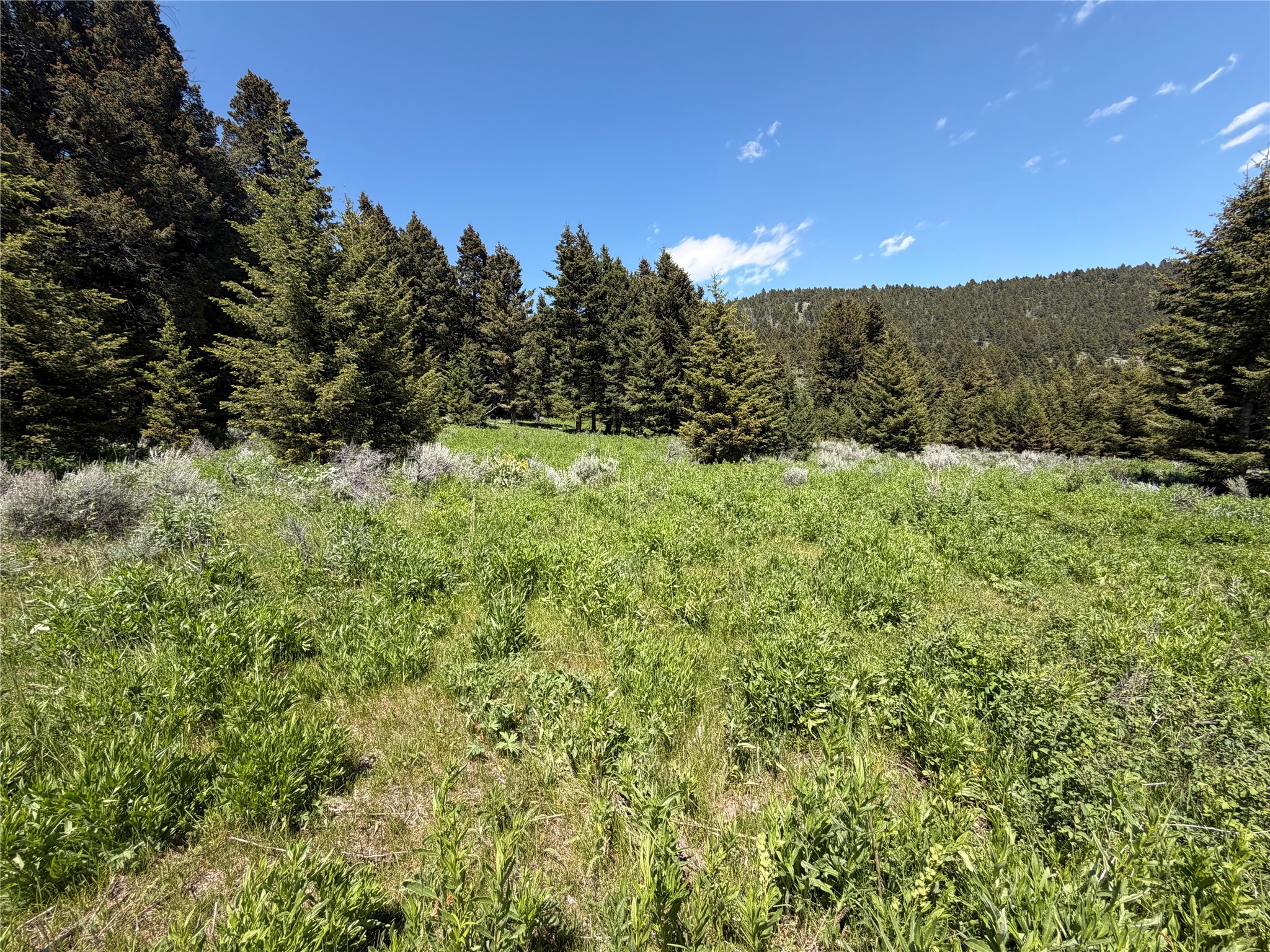 Nhn Castle Town Property Photo 5