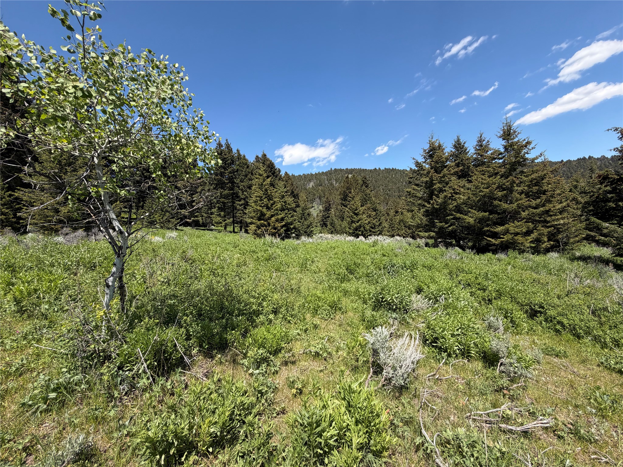 Nhn Castle Town Property Photo 6