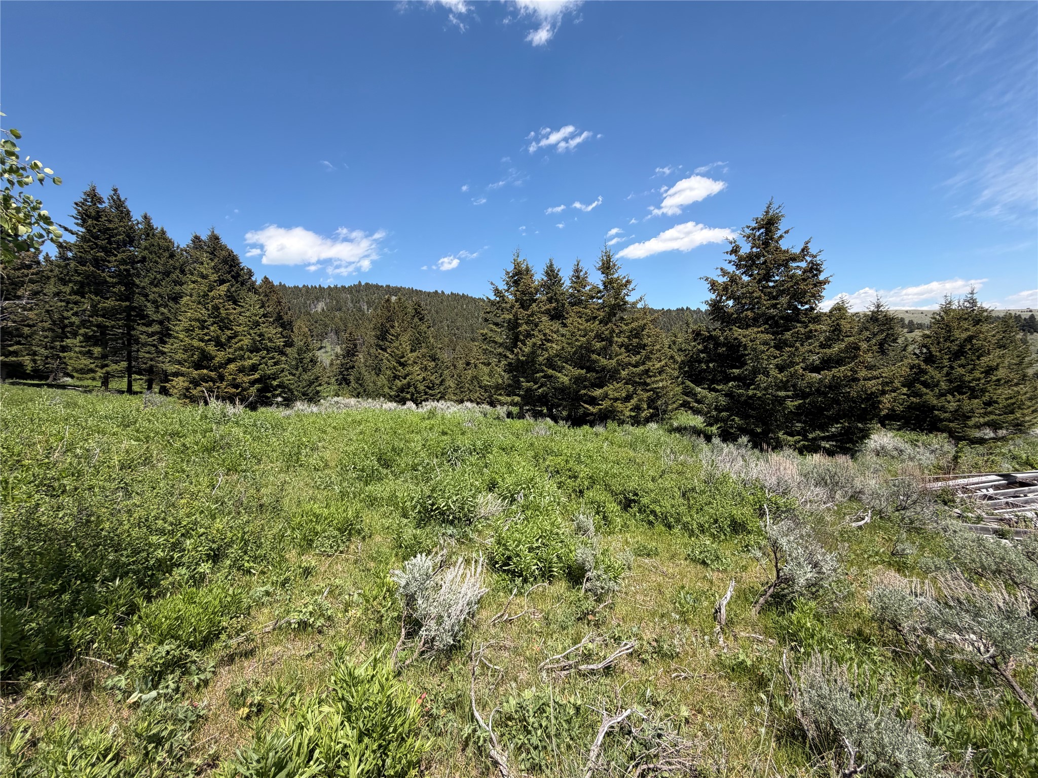 Nhn Castle Town Property Photo 7
