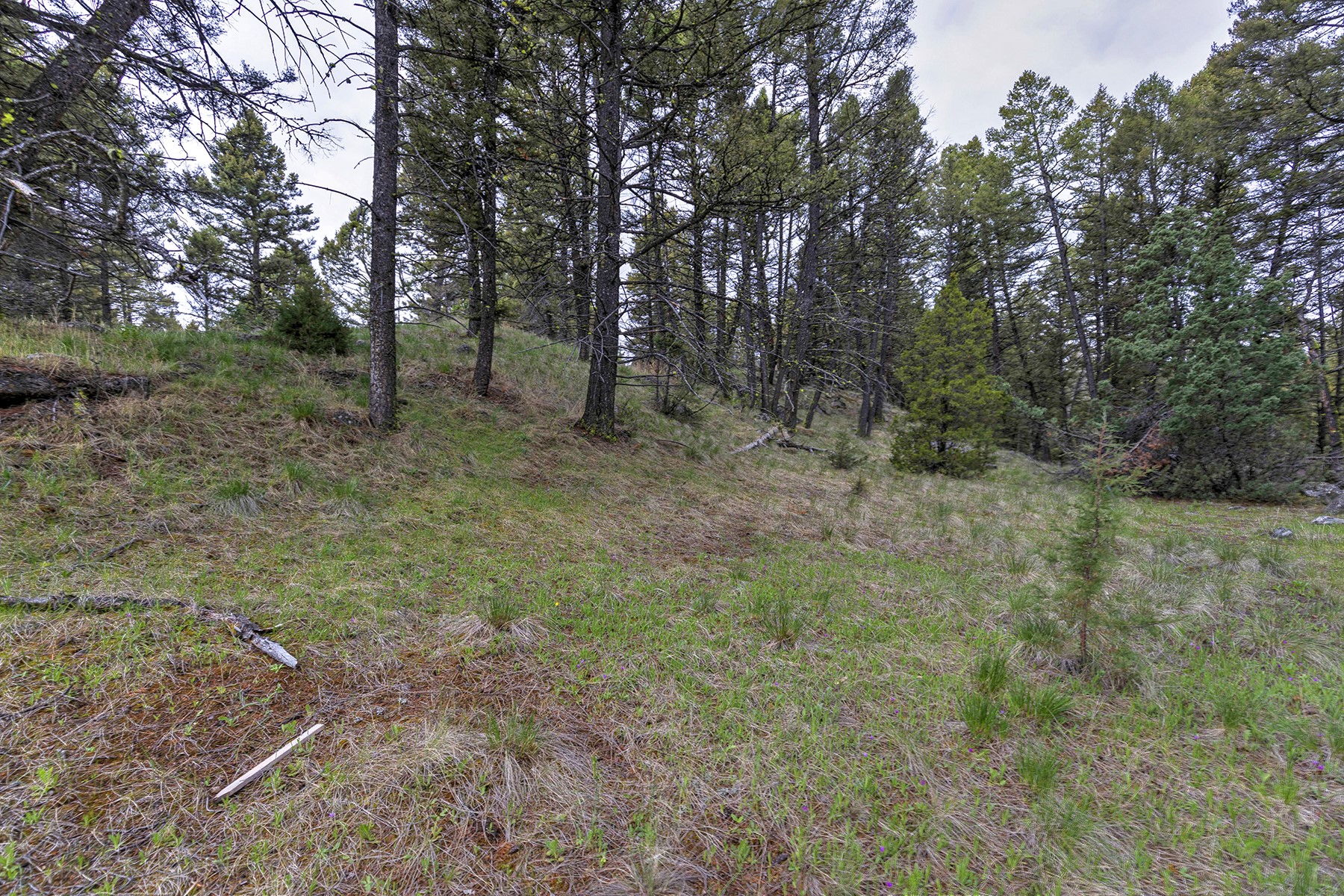 958 Pauly Drive Property Photo 10