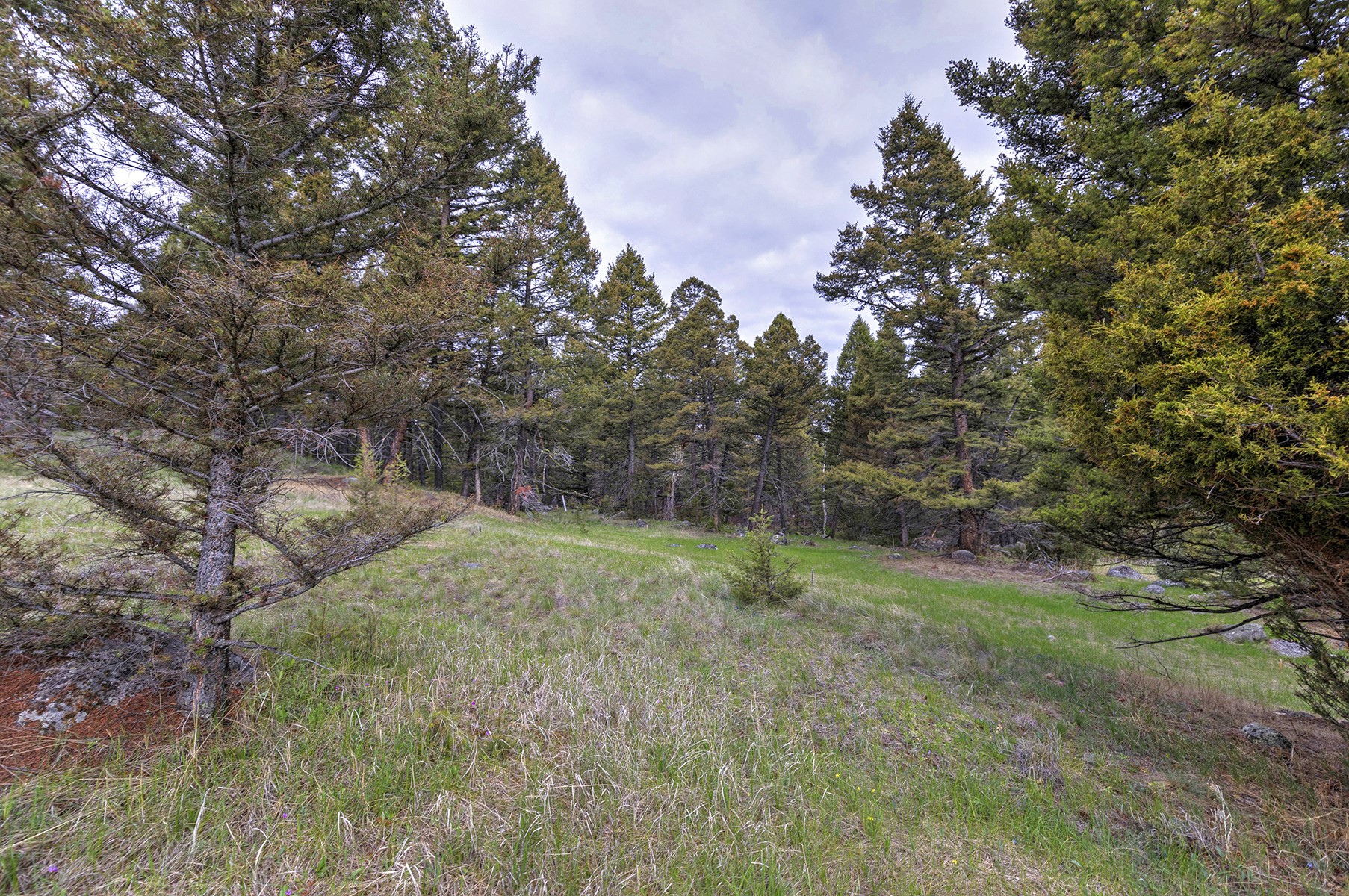 958 Pauly Drive Property Photo 11
