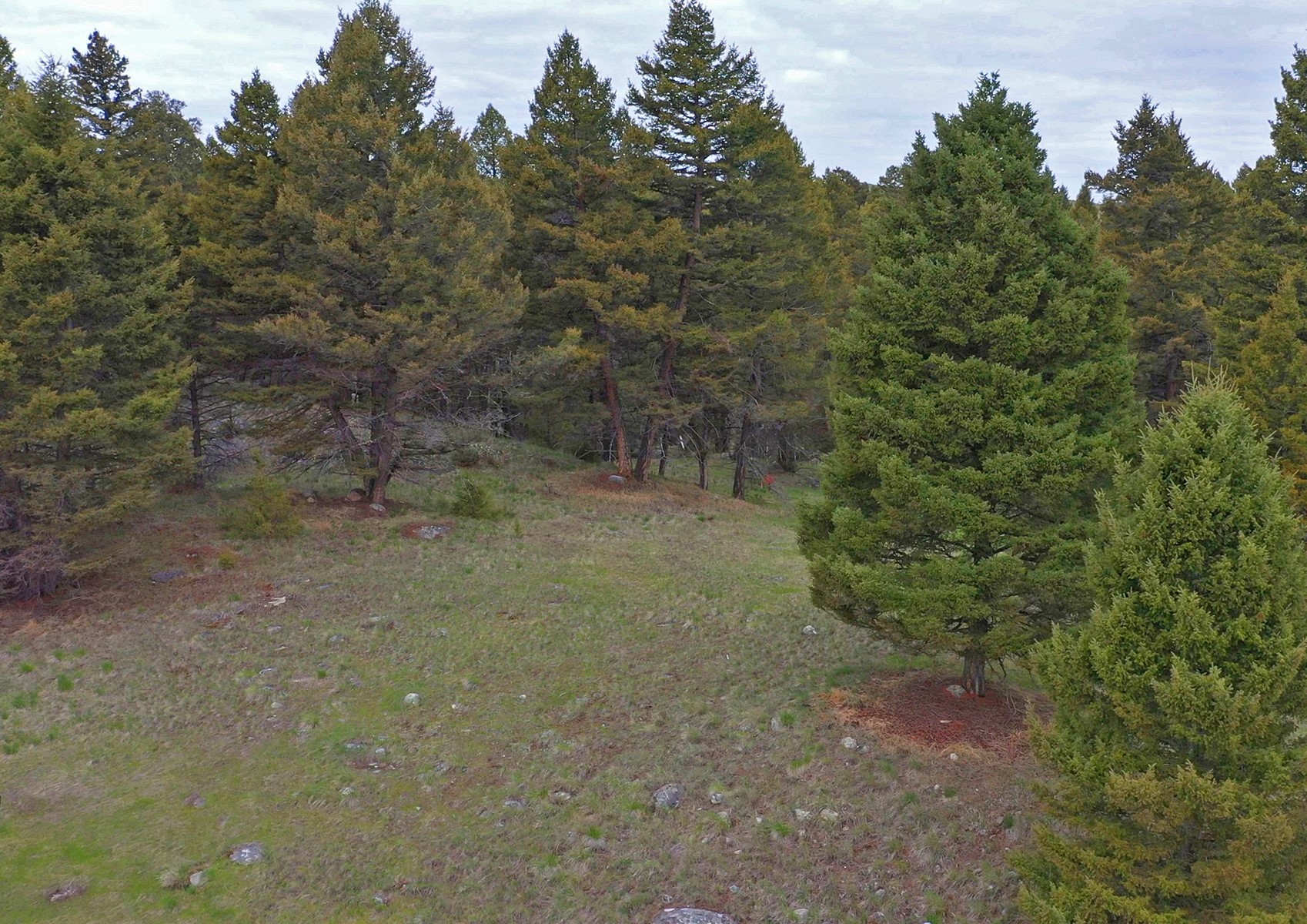 958 Pauly Drive Property Photo 16