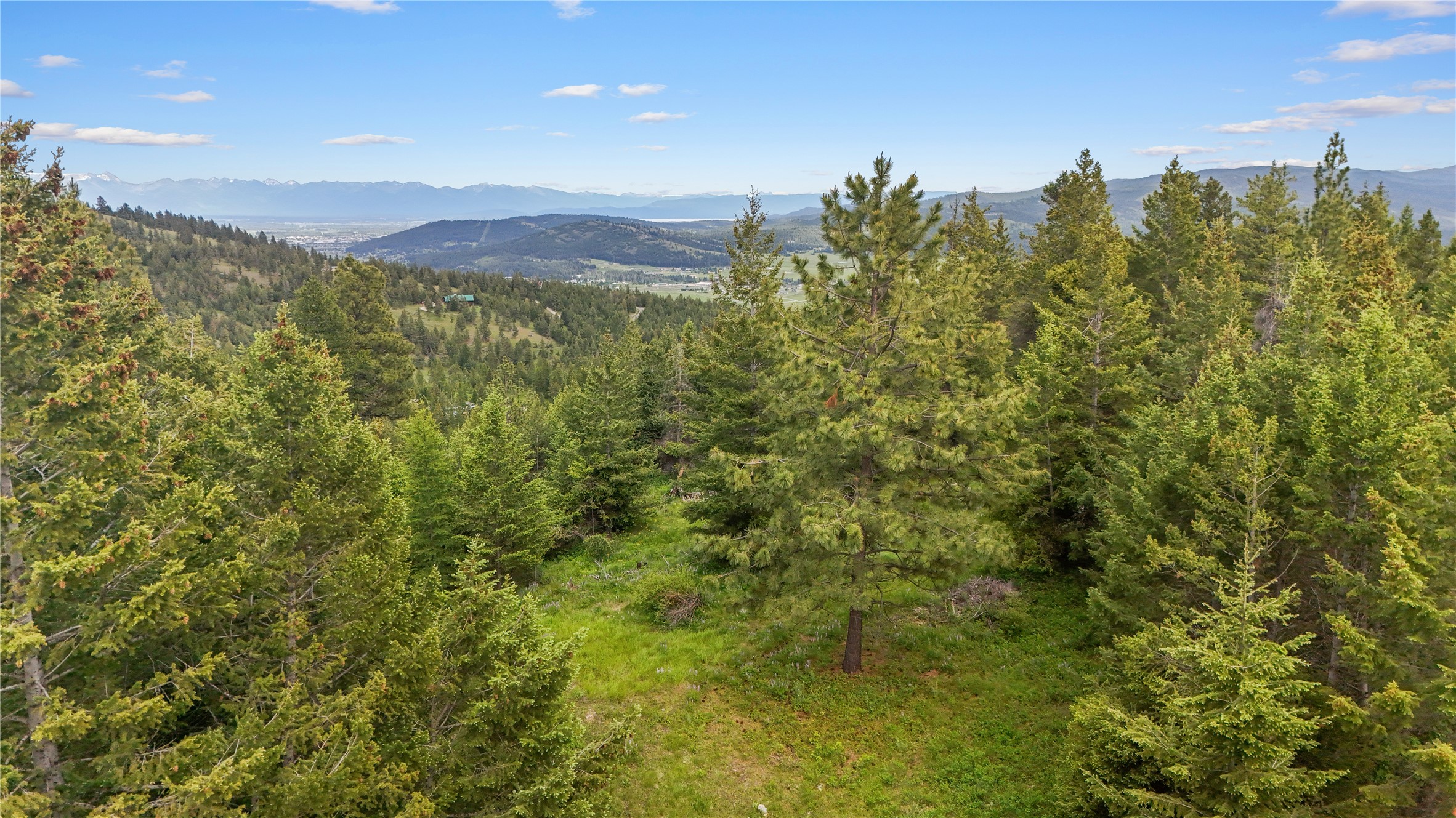 1895 Kienas Road Property Photo 2