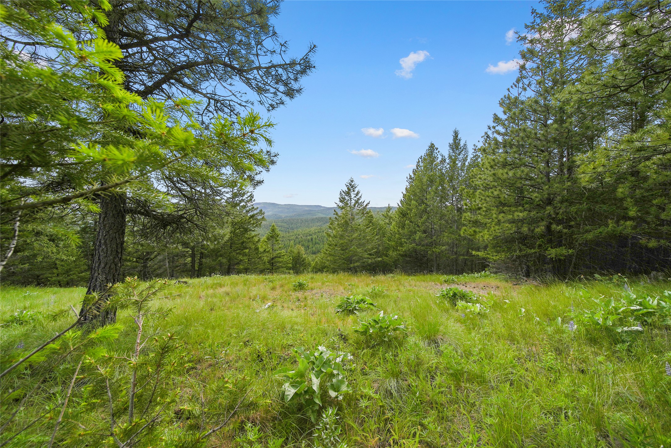 1895 Kienas Road Property Photo 3