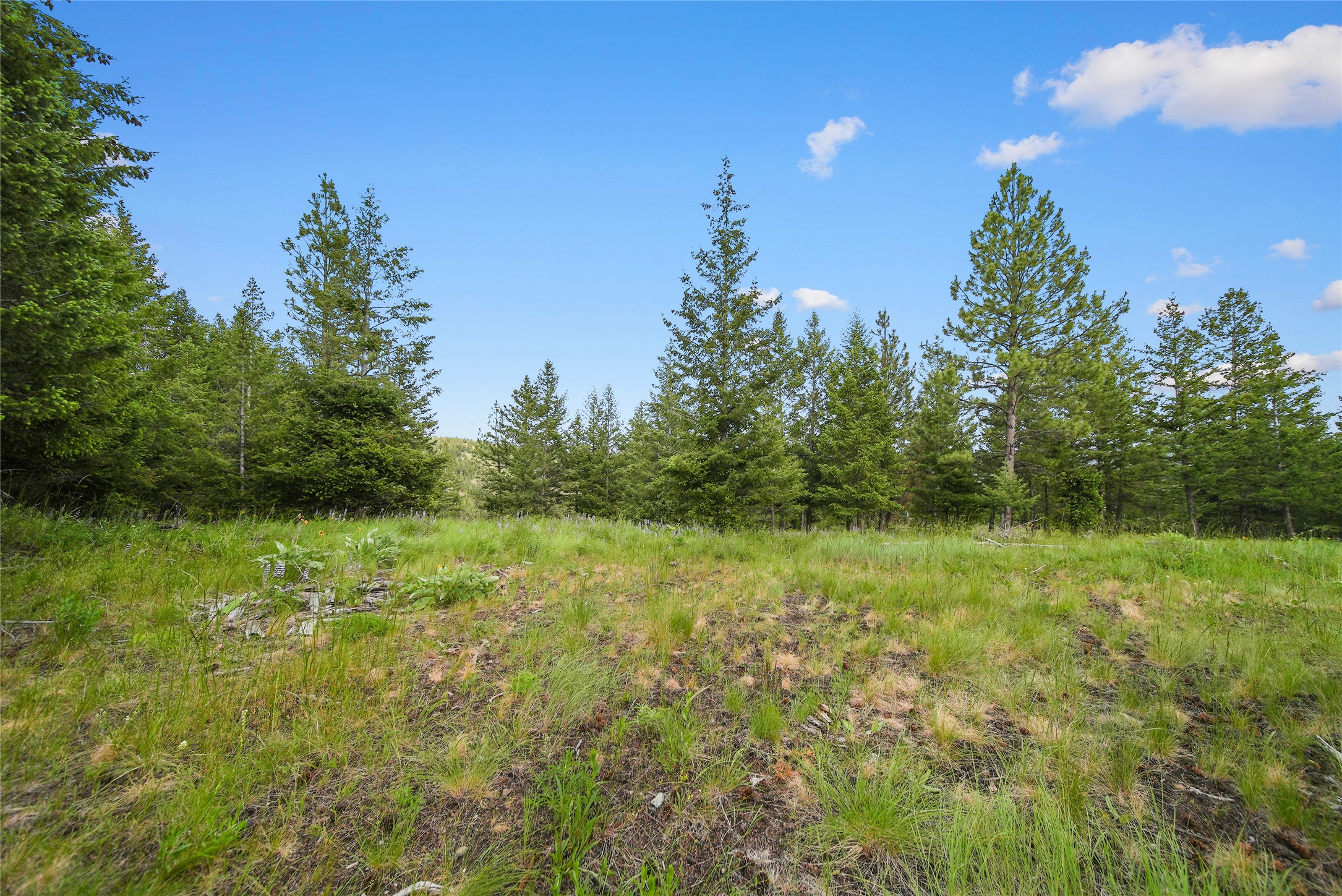 1895 Kienas Road Property Photo 10