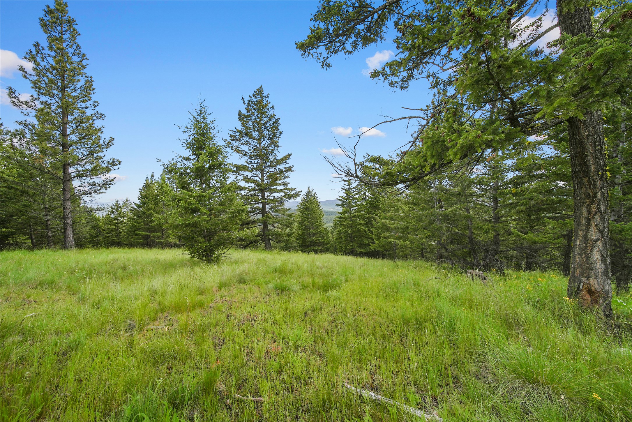1895 Kienas Road Property Photo 11