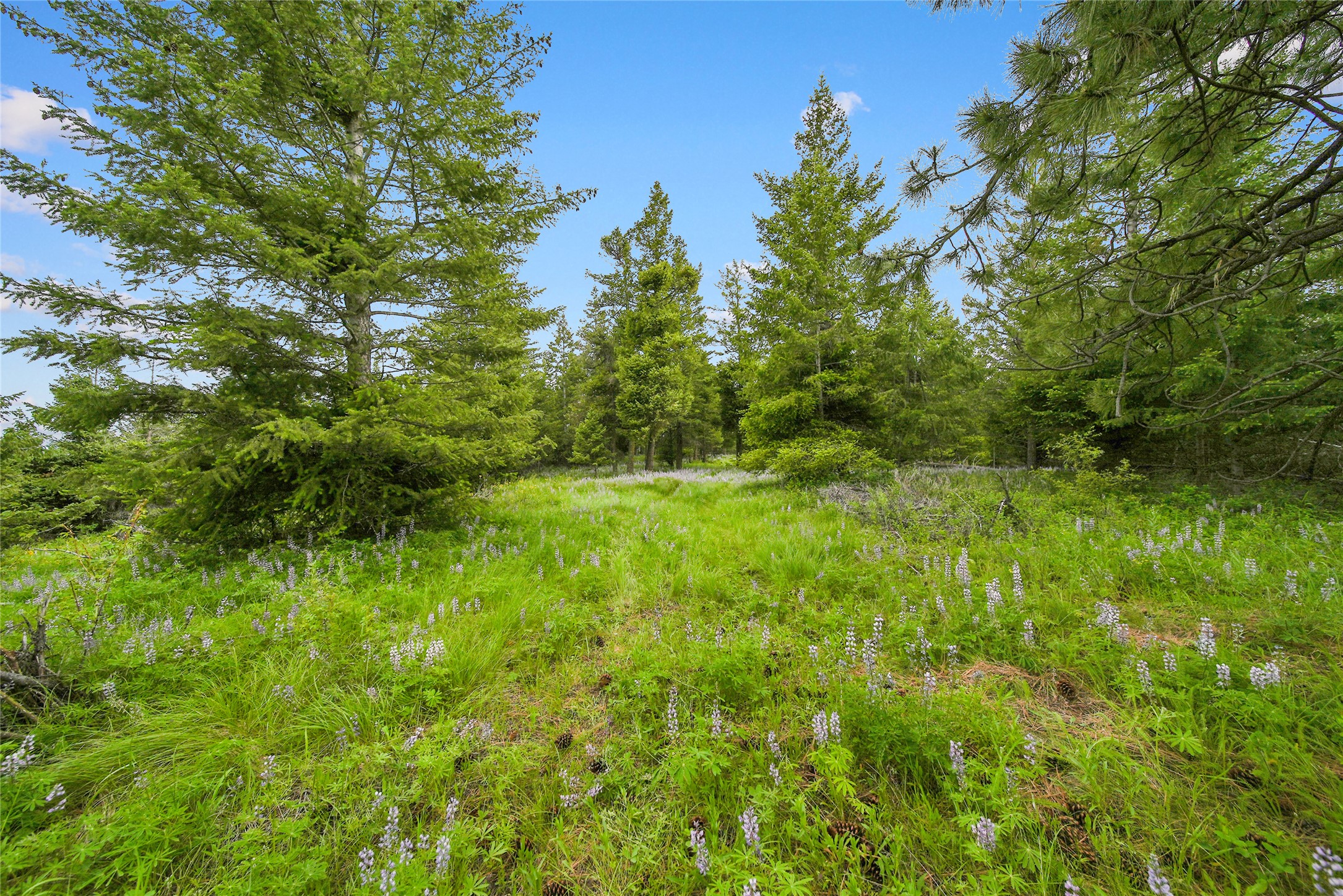 1895 Kienas Road Property Photo 12
