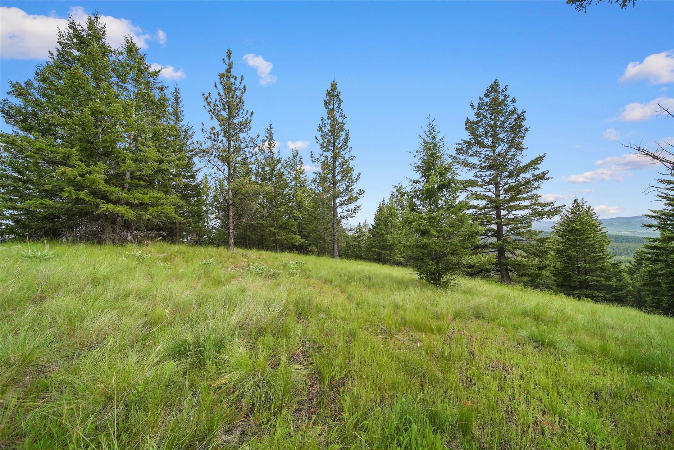 1895 Kienas Road Property Photo 13