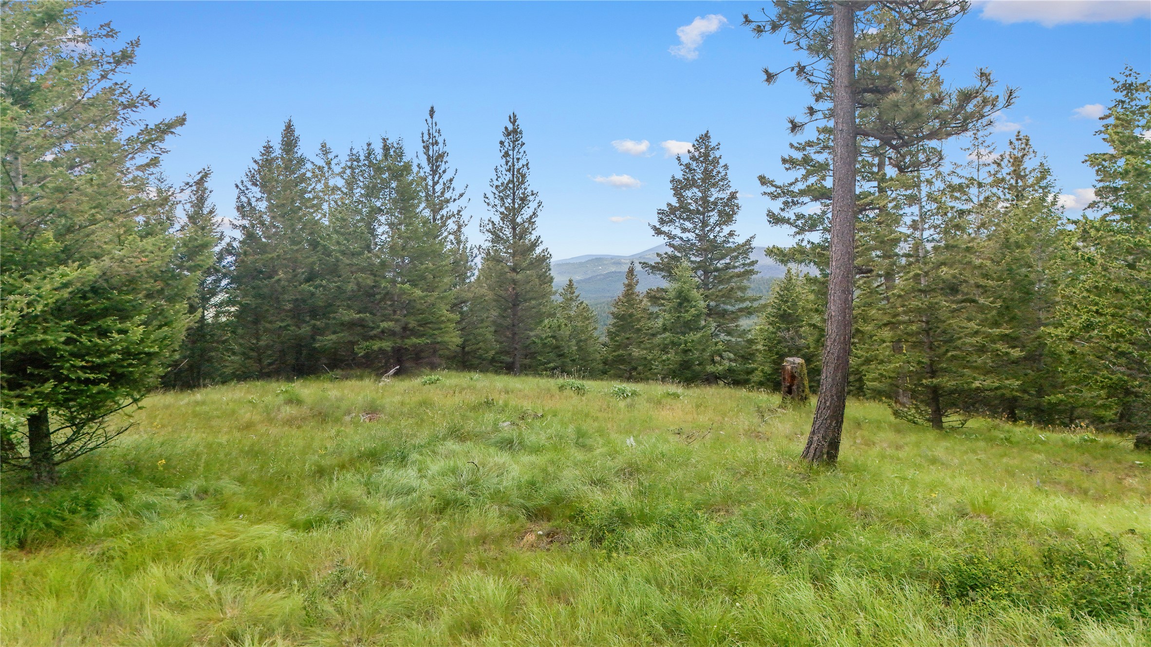 1895 Kienas Road Property Photo 14