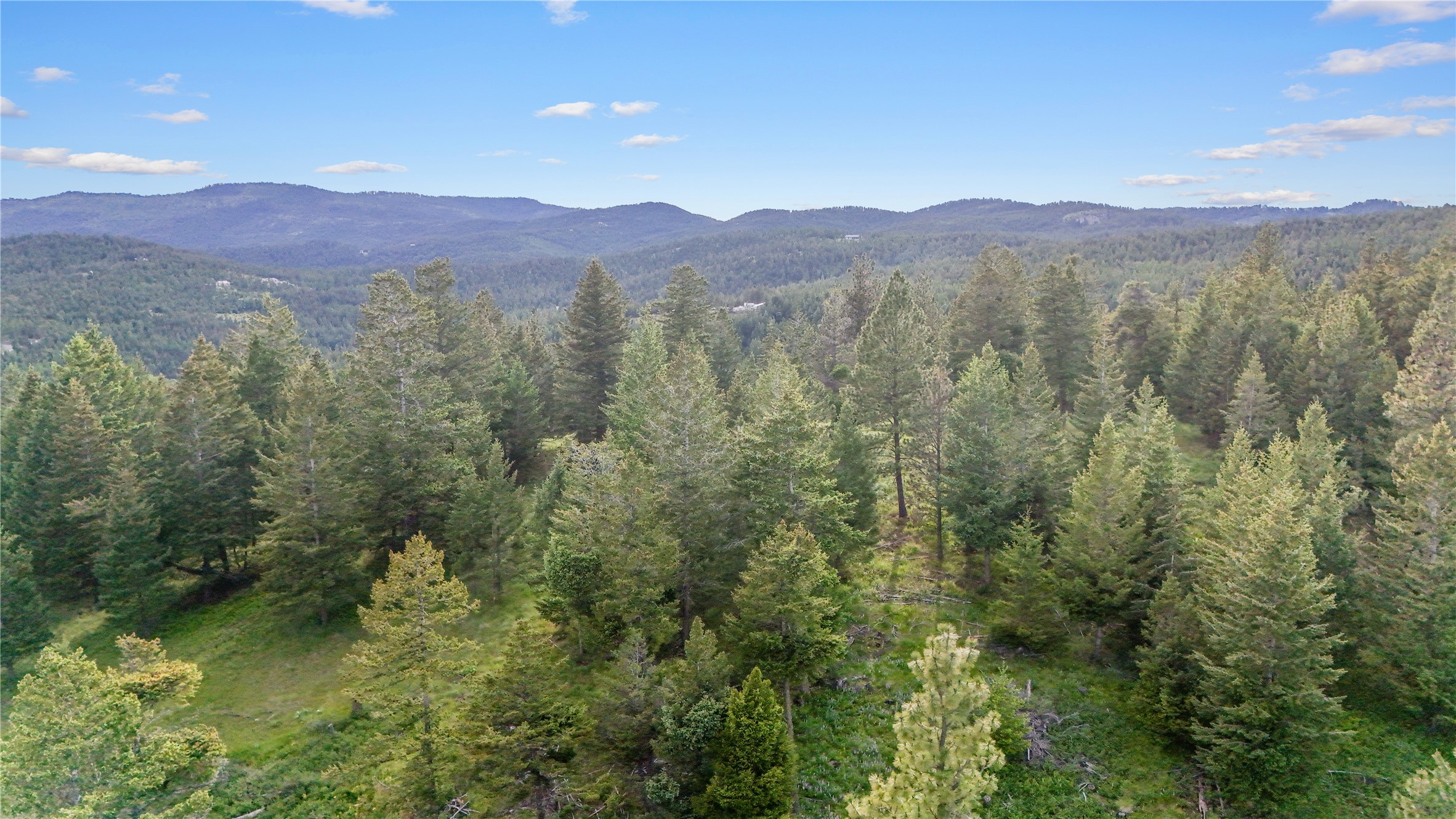 1895 Kienas Road Property Photo 17