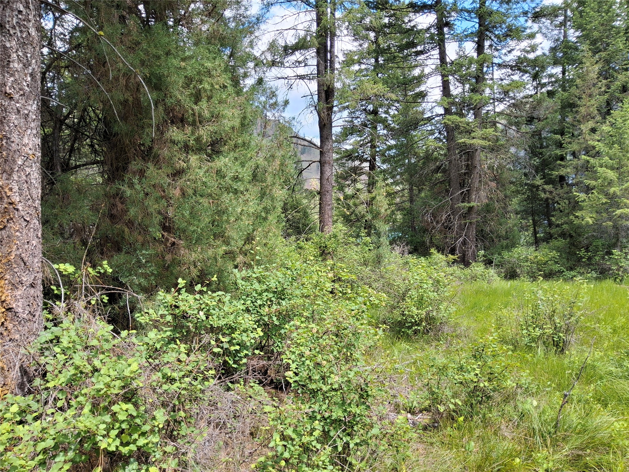 746 Tami Drive E Property Photo 9