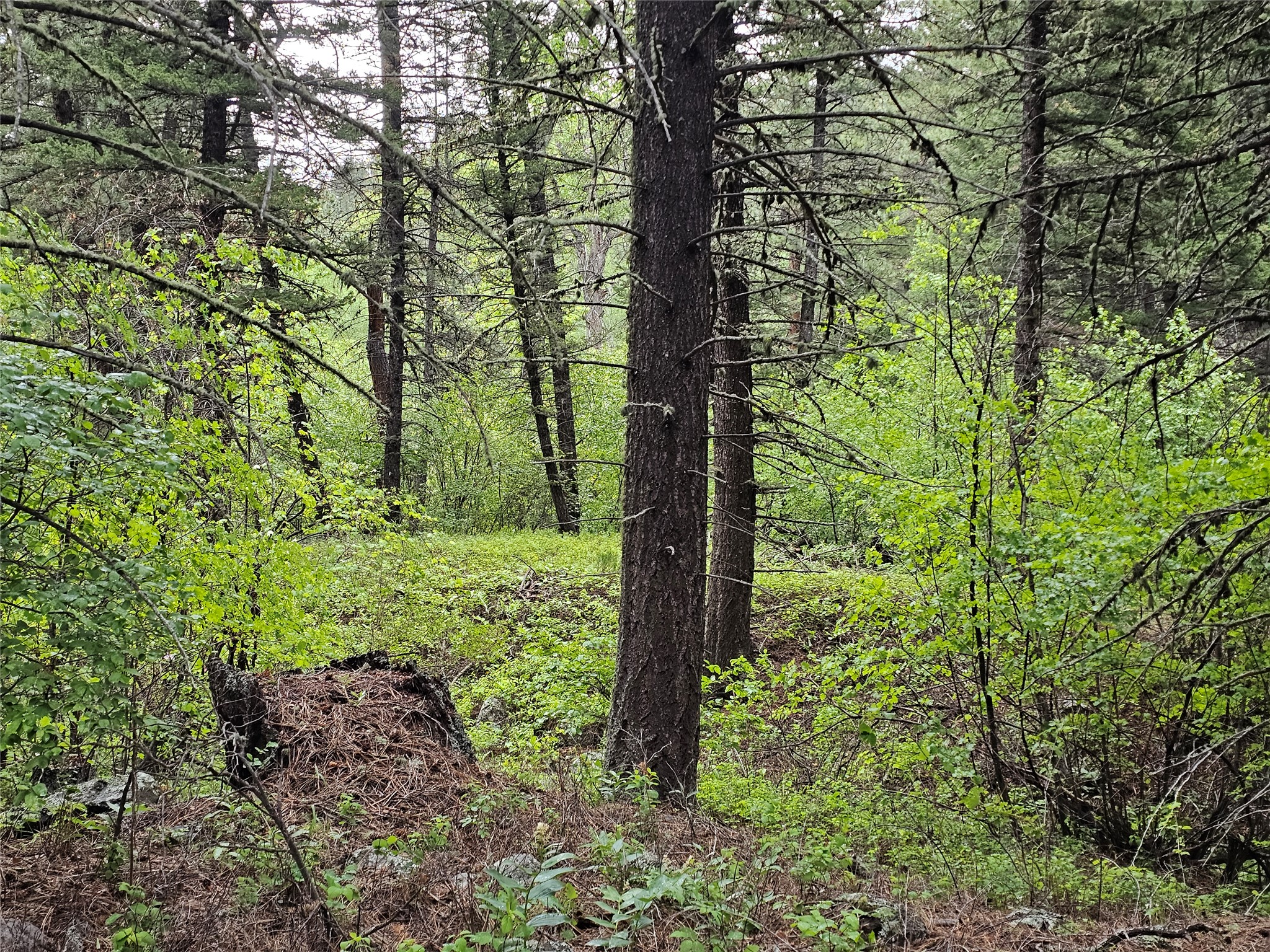 Nhn Upper Sawmill Creek Lane Property Photo 1