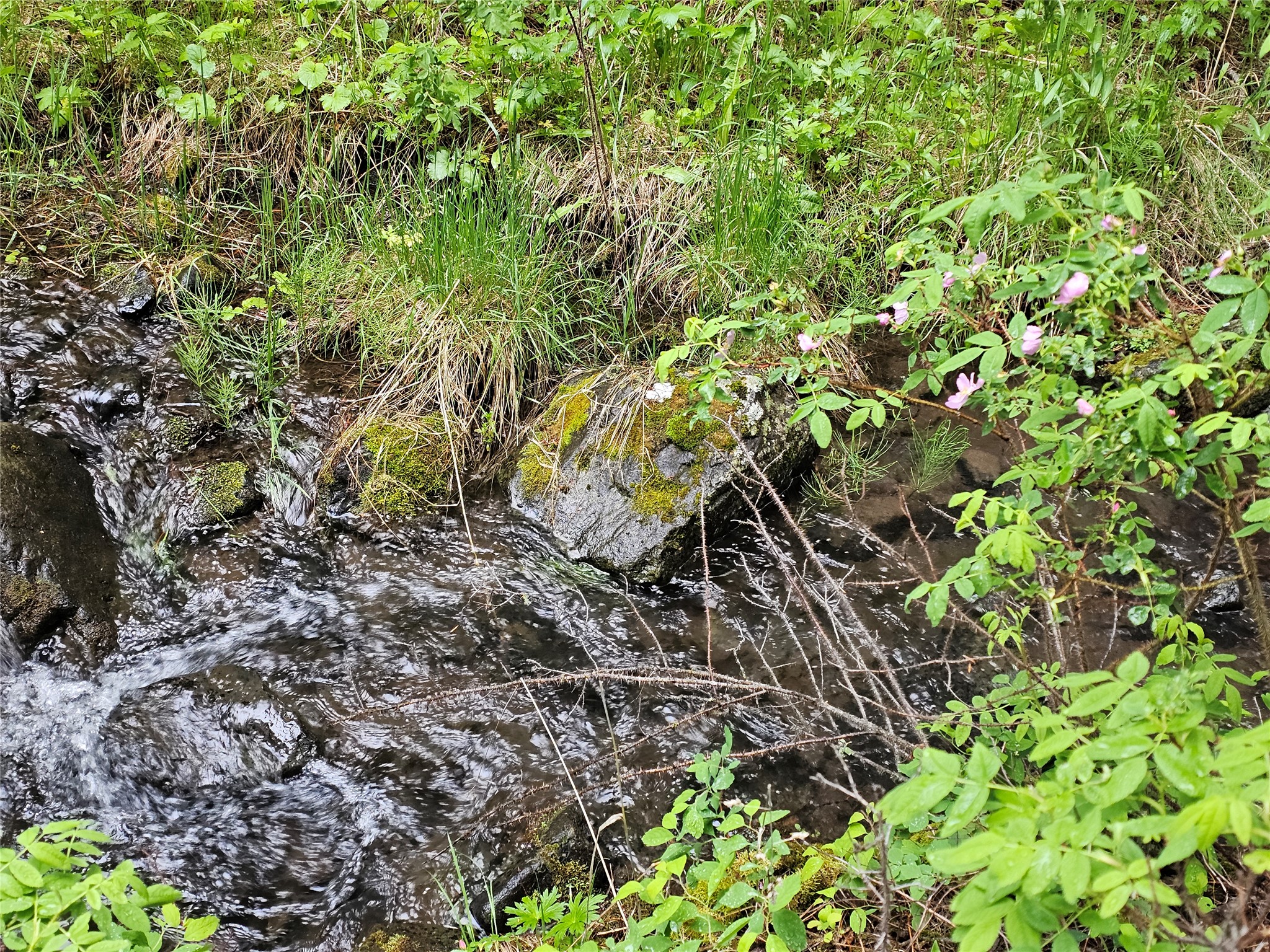 Nhn Upper Sawmill Creek Lane Property Photo 2