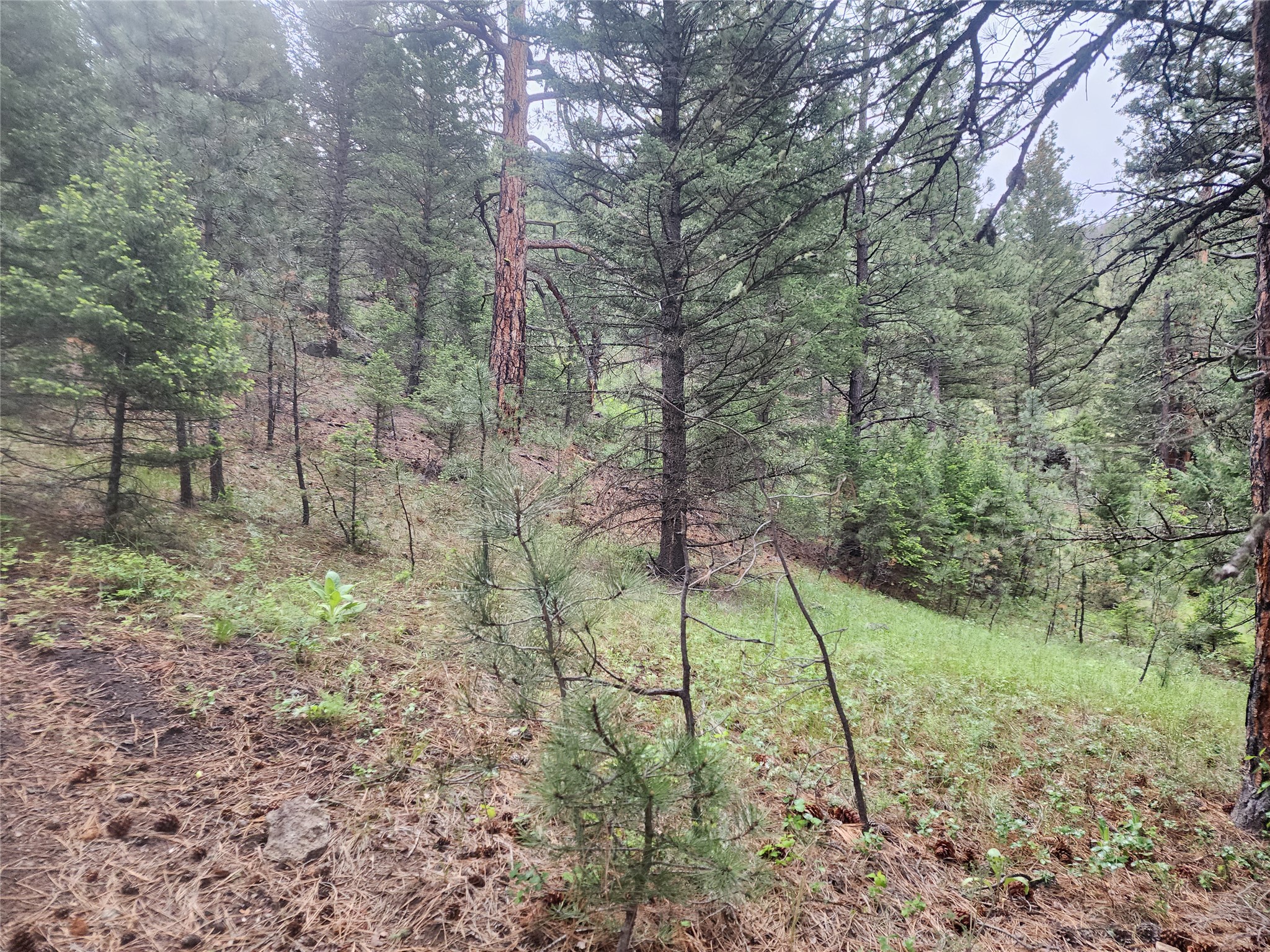 Nhn Upper Sawmill Creek Lane Property Photo 4