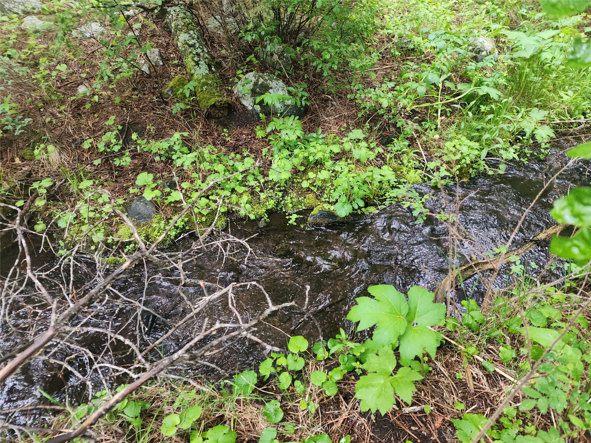 Nhn Upper Sawmill Creek Lane Property Photo 6