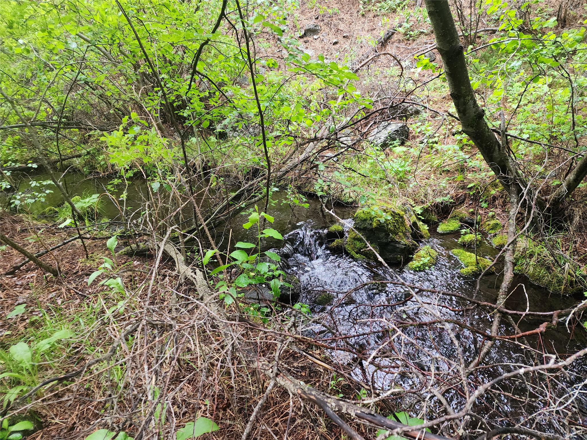 Nhn Upper Sawmill Creek Lane Property Photo 7