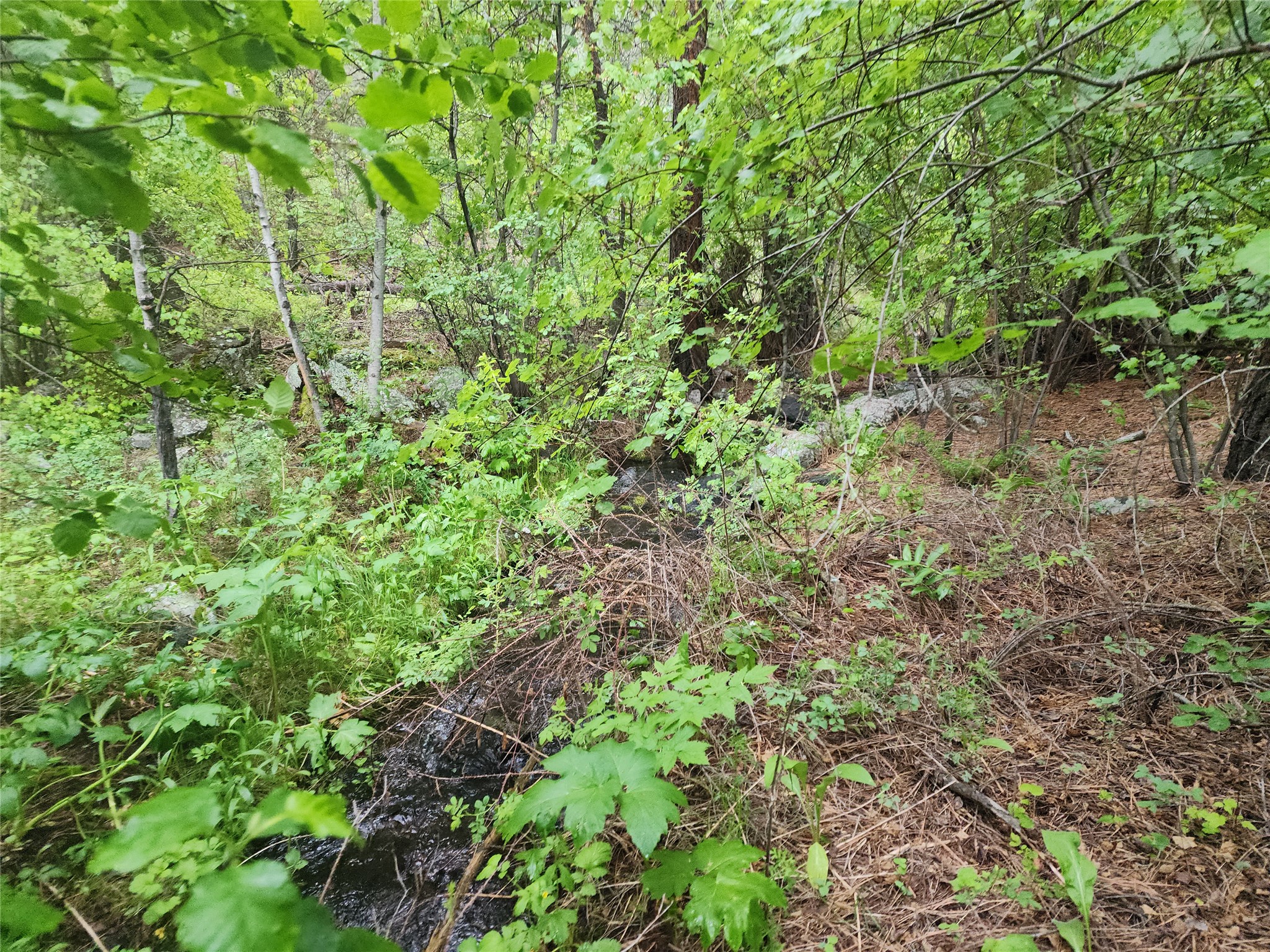 Nhn Upper Sawmill Creek Lane Property Photo 8