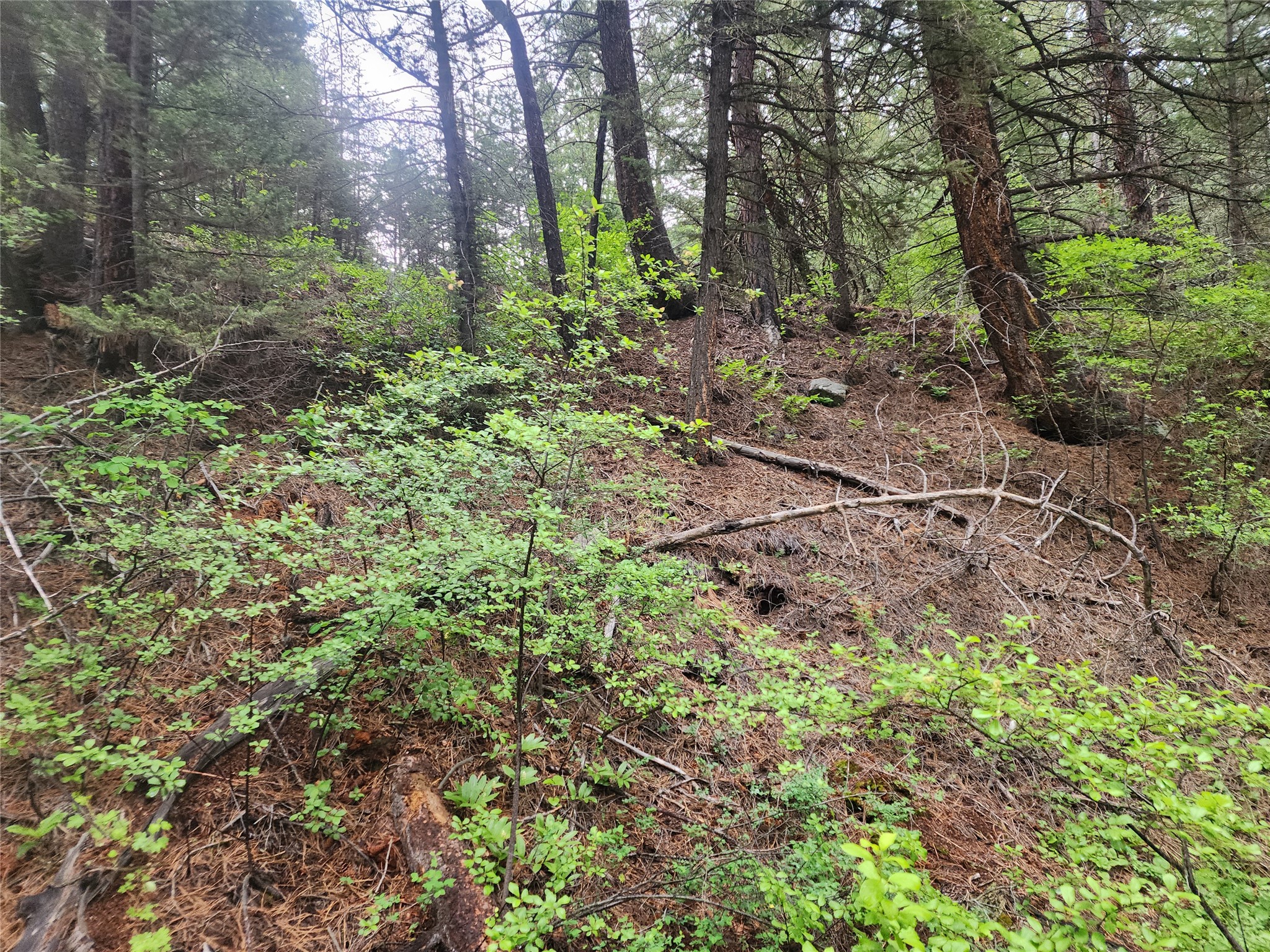 Nhn Upper Sawmill Creek Lane Property Photo 10