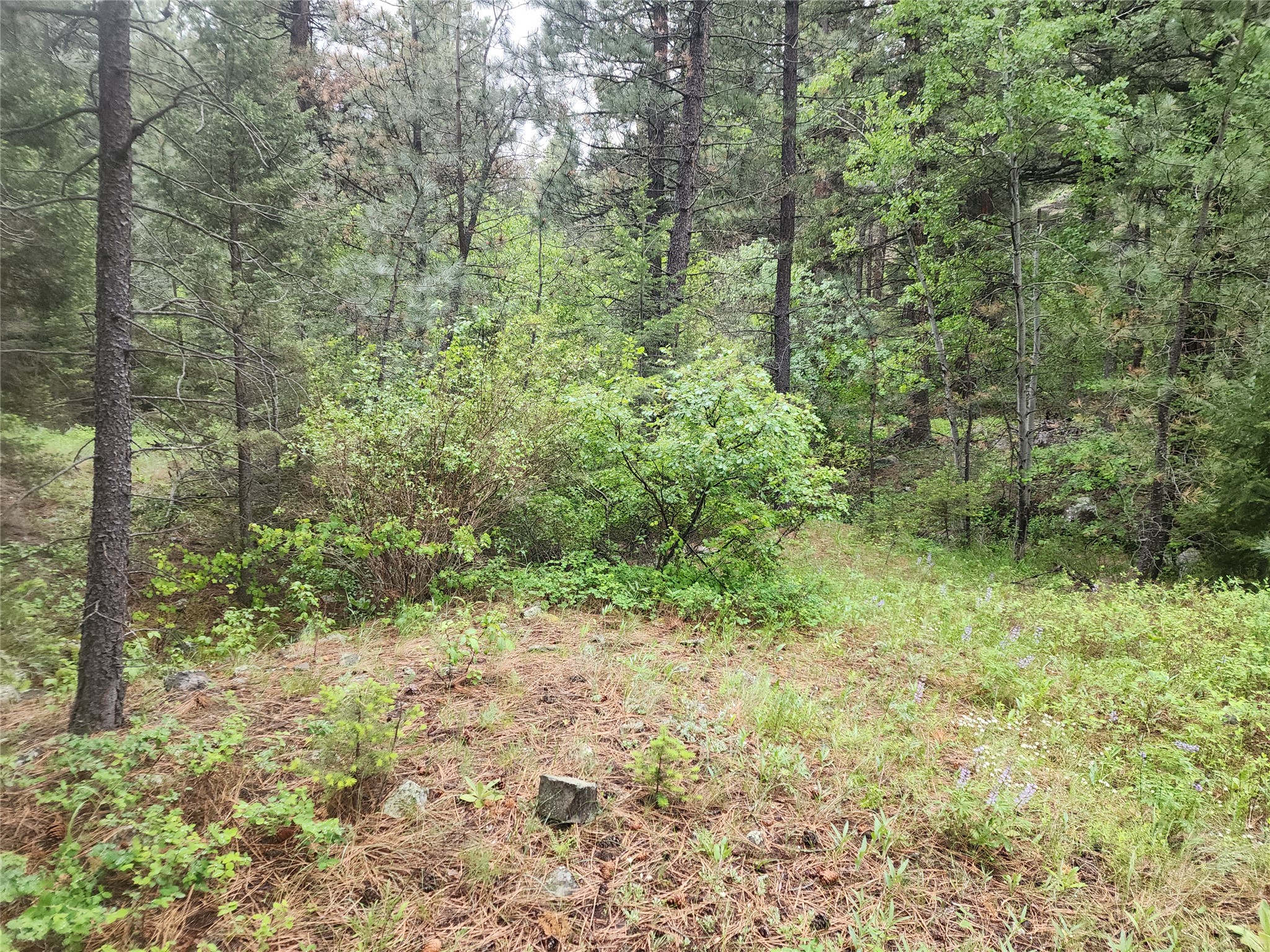 Nhn Upper Sawmill Creek Lane Property Photo 11