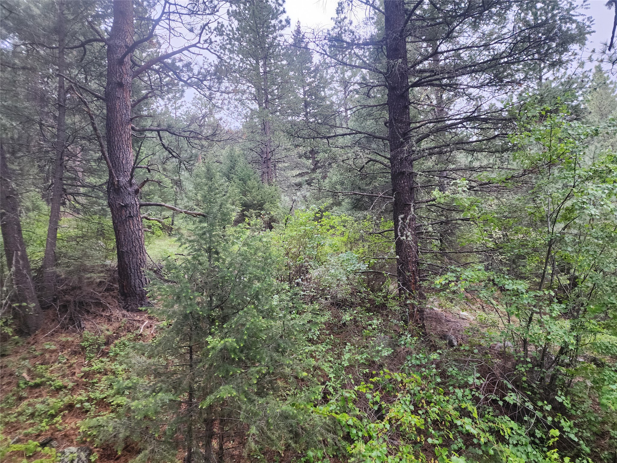 Nhn Upper Sawmill Creek Lane Property Photo 16