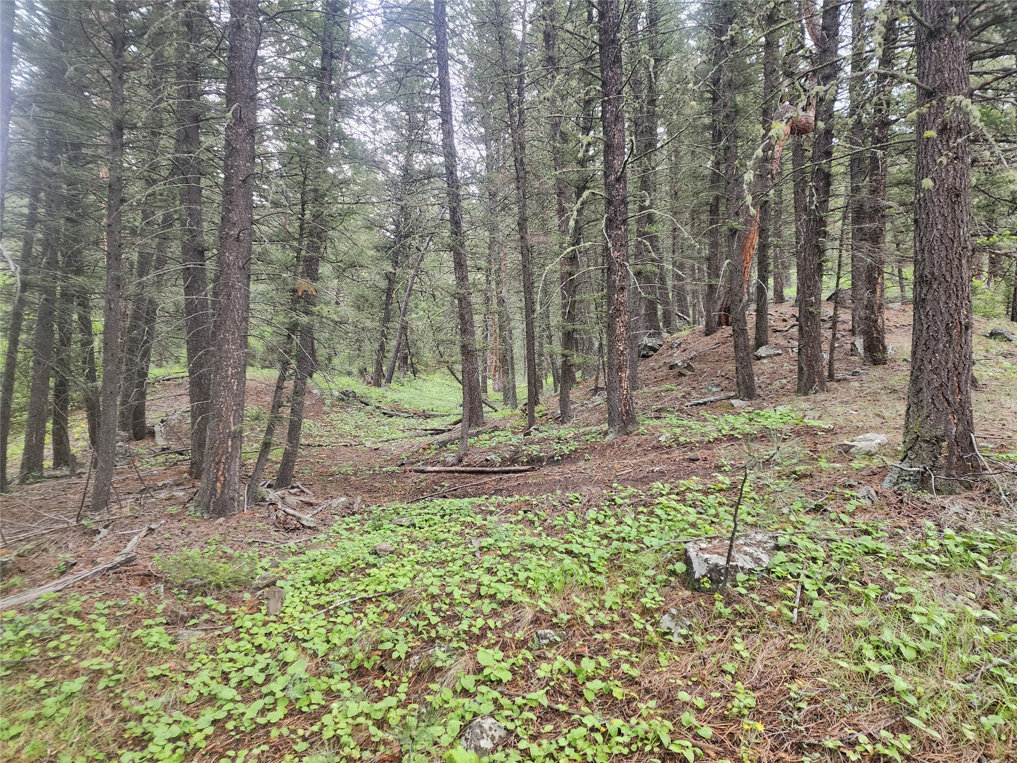 Nhn Upper Sawmill Creek Lane Property Photo 18