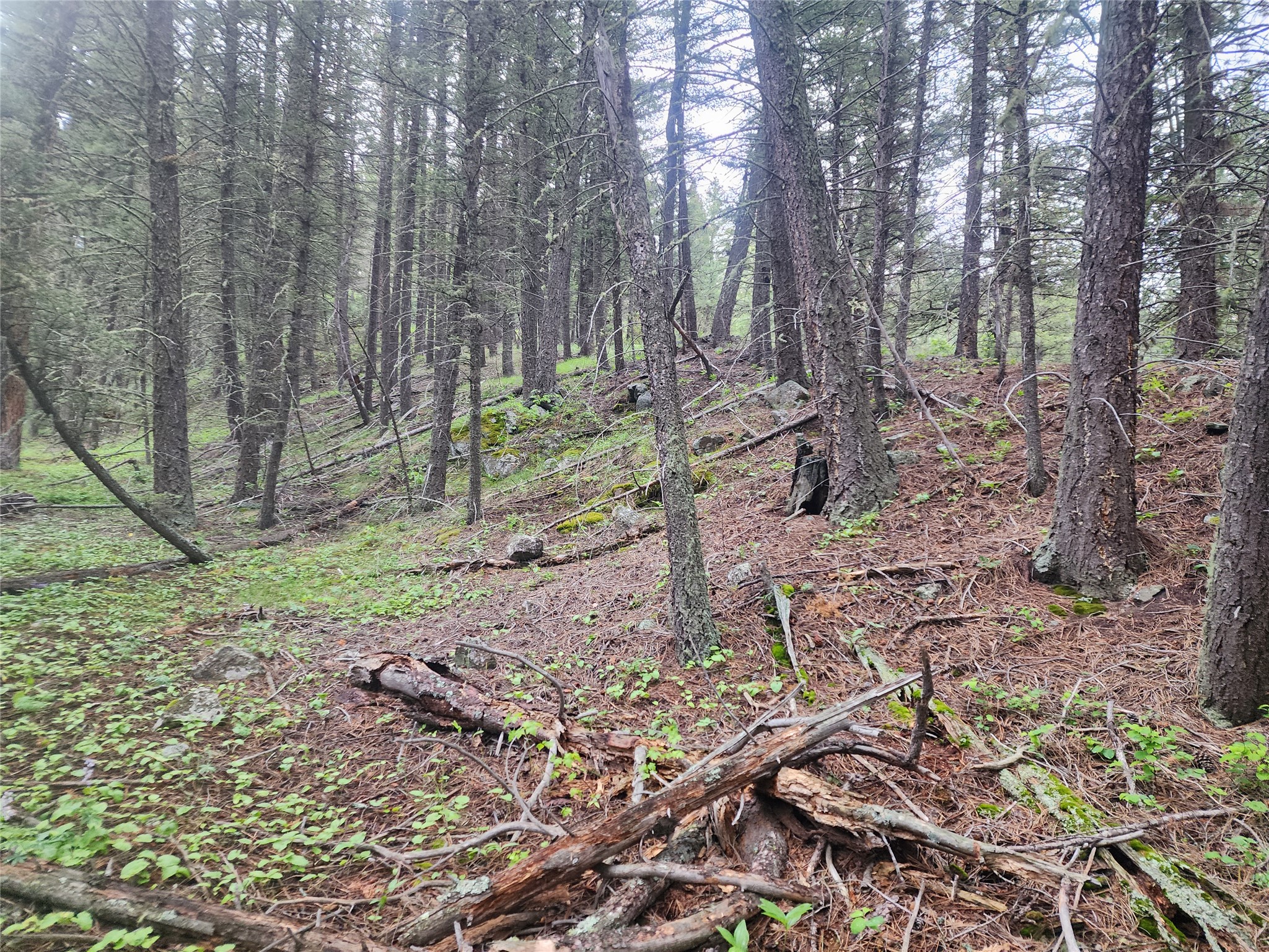 Nhn Upper Sawmill Creek Lane Property Photo 22