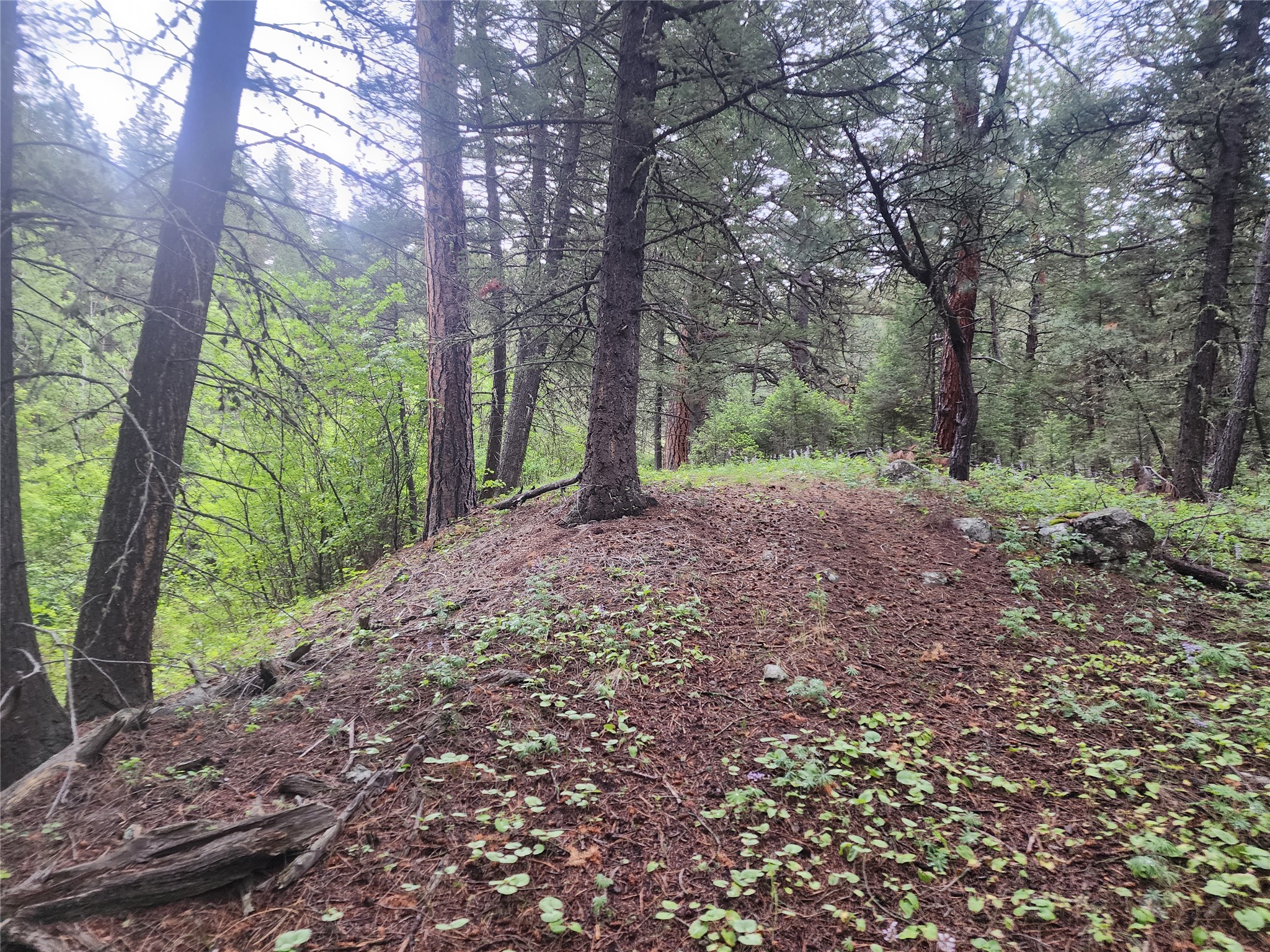 Nhn Upper Sawmill Creek Lane Property Photo 23