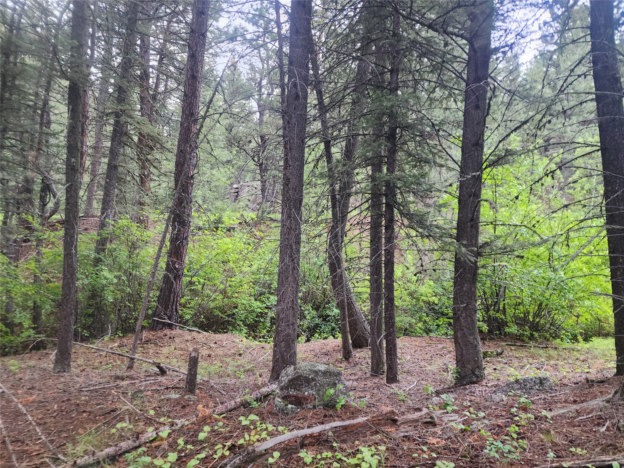 Nhn Upper Sawmill Creek Lane Property Photo 24